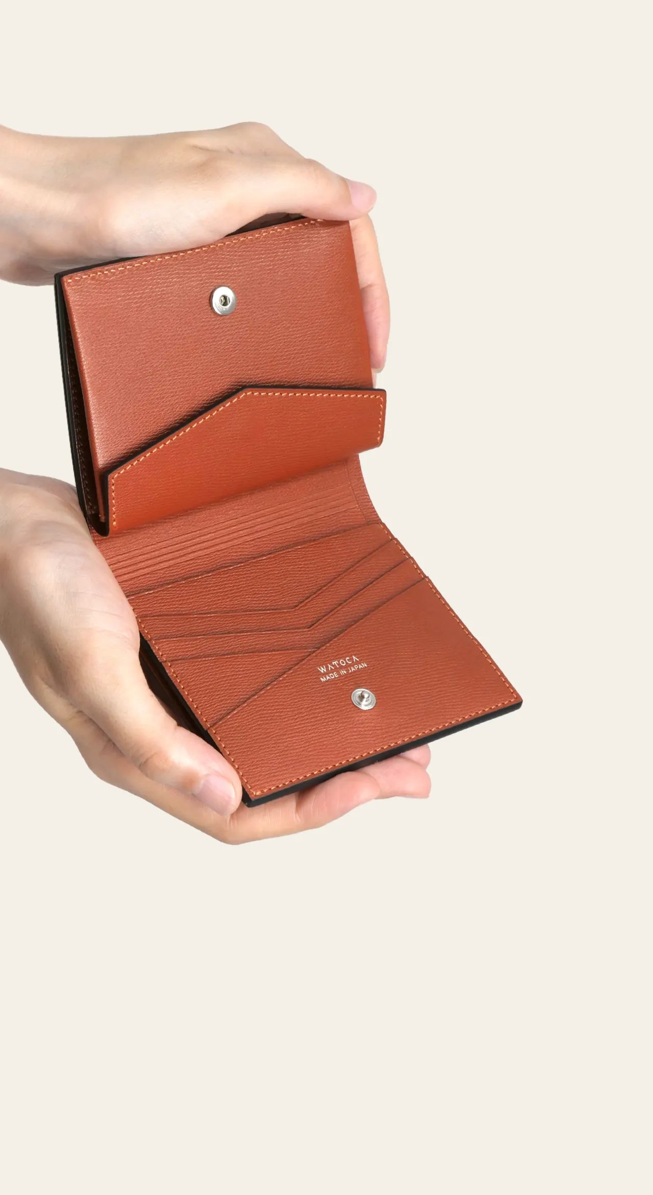 compact-wallet-benigara-002