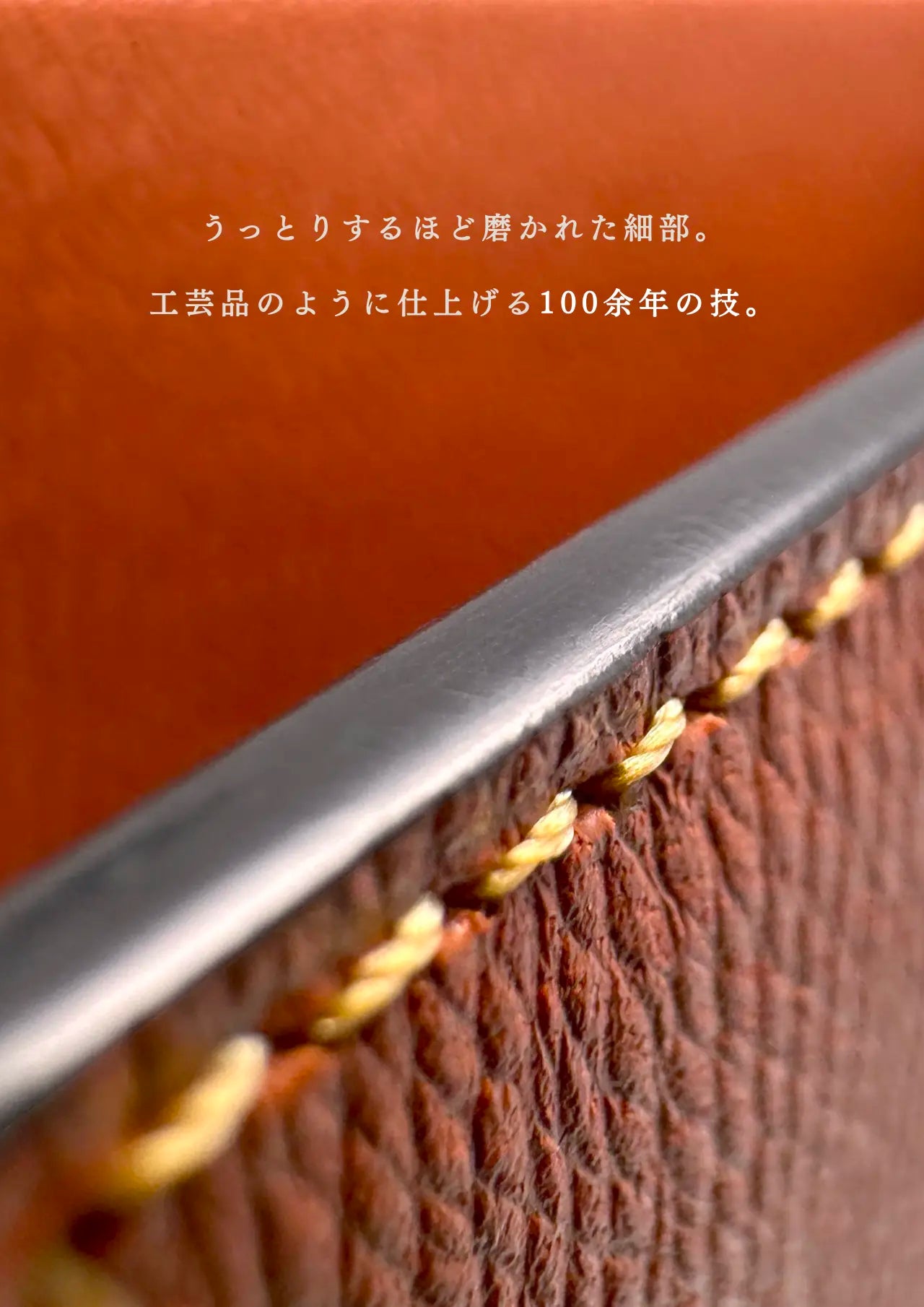 compact-wallet-benigara-007