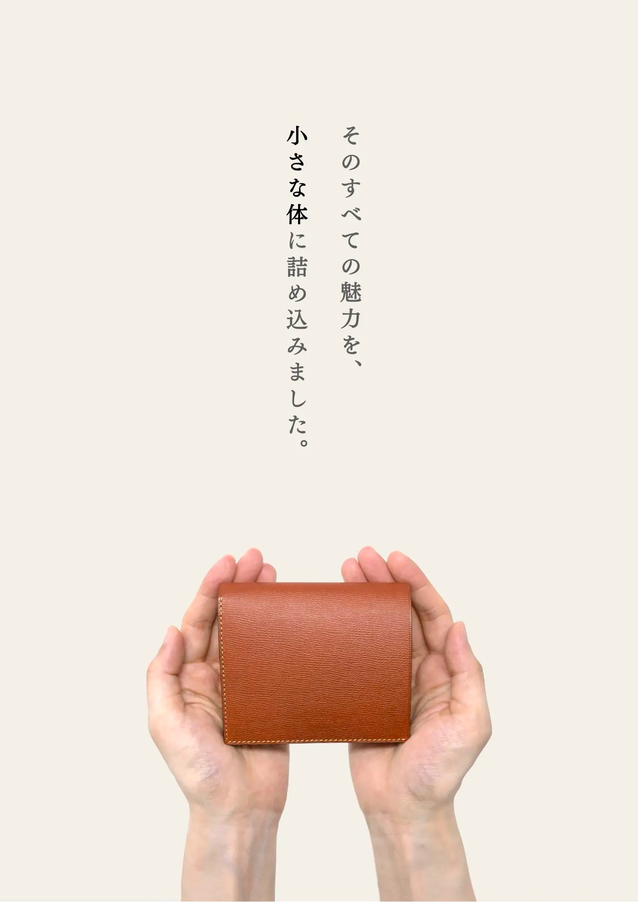 compact-wallet-benigara-008