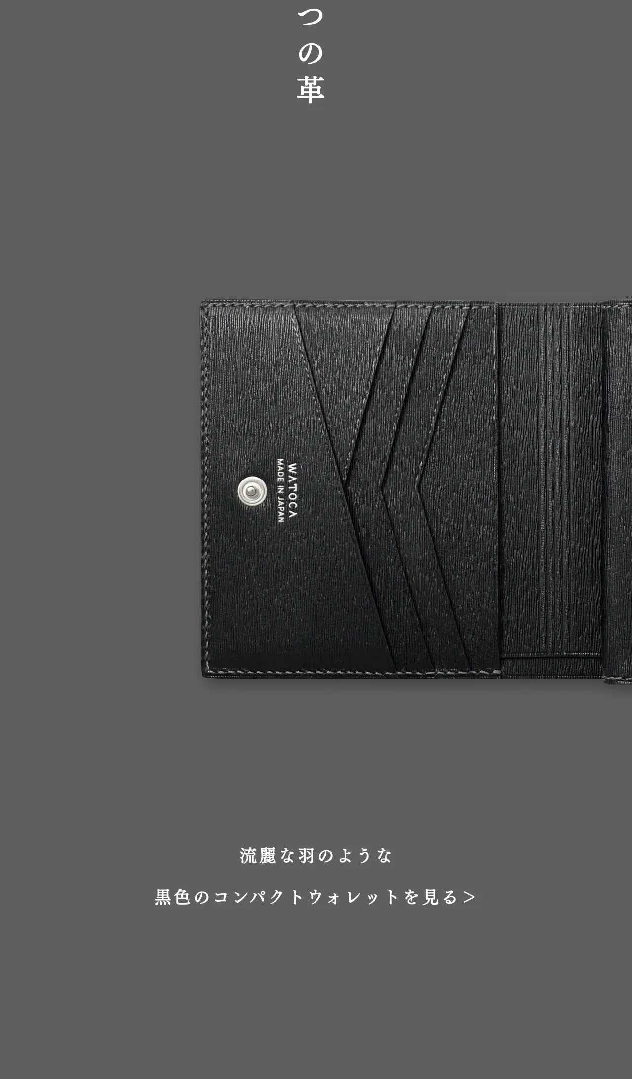 compact-wallet-benigara-010
