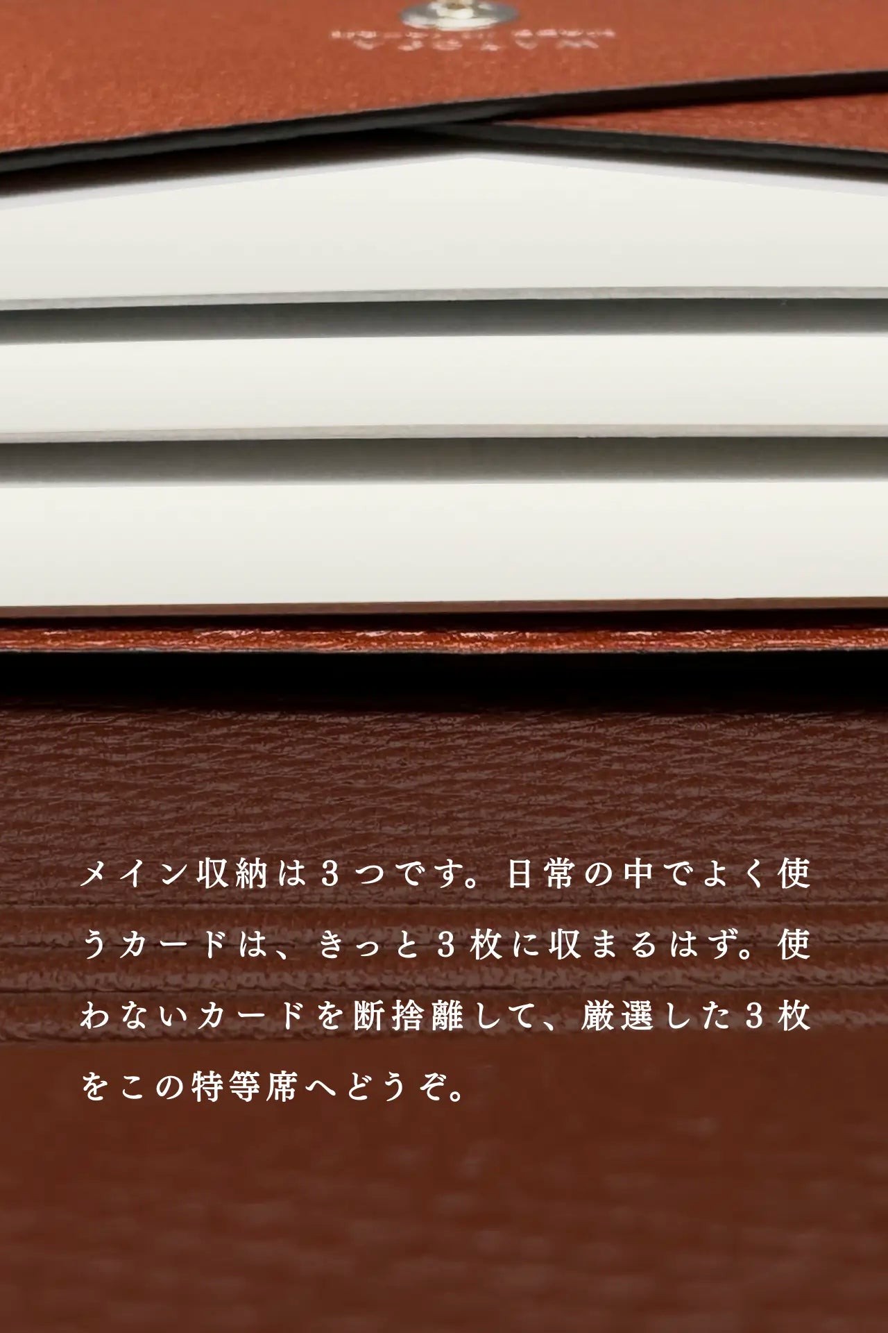 compact-wallet-benigara-024