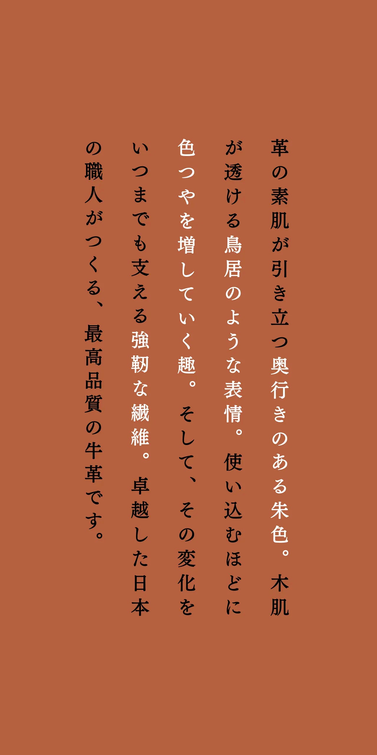 compact-wallet-benigara-033