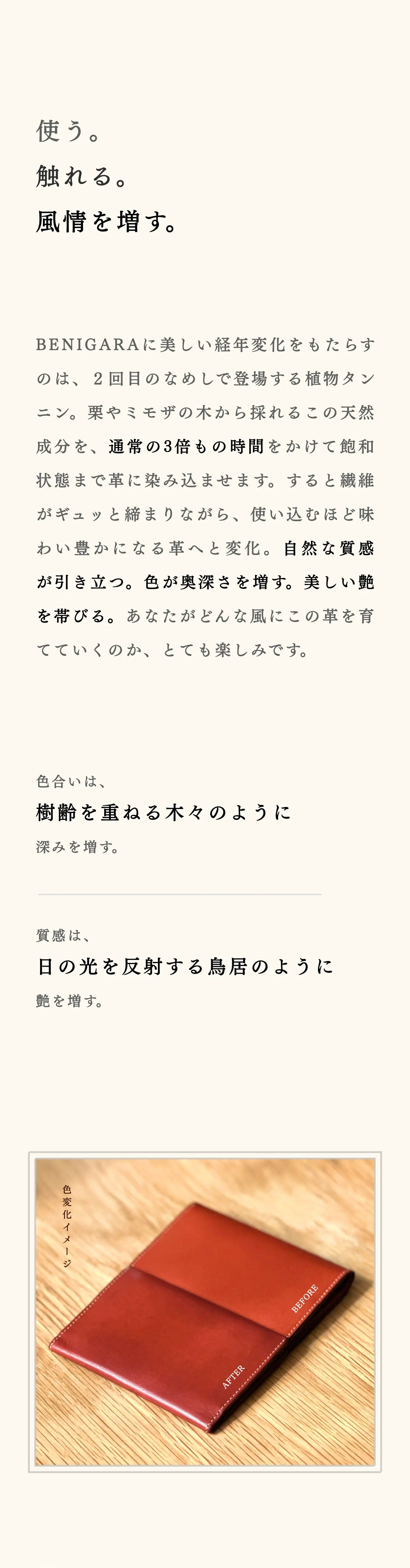 compact-wallet-benigara-041