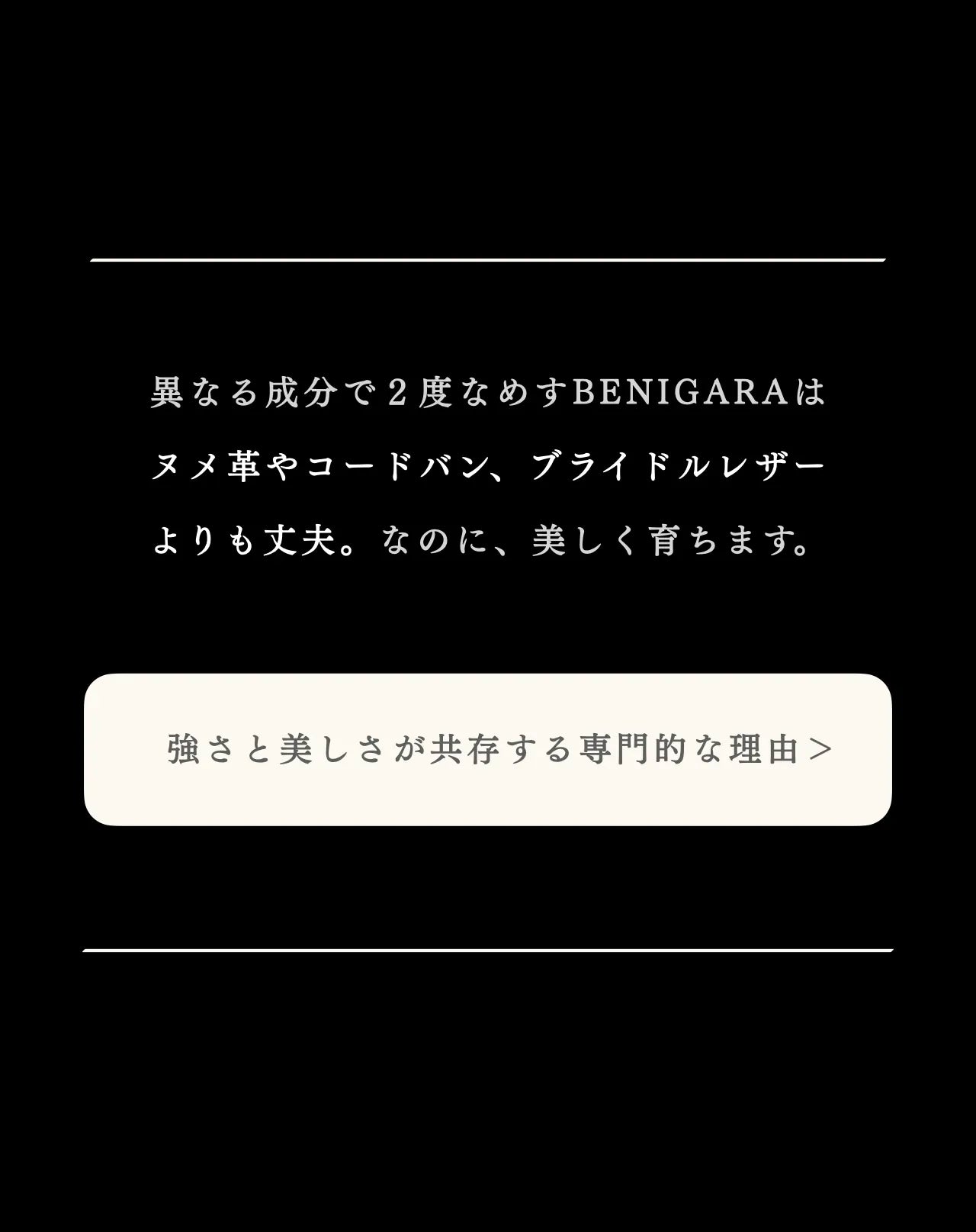 compact-wallet-benigara-043