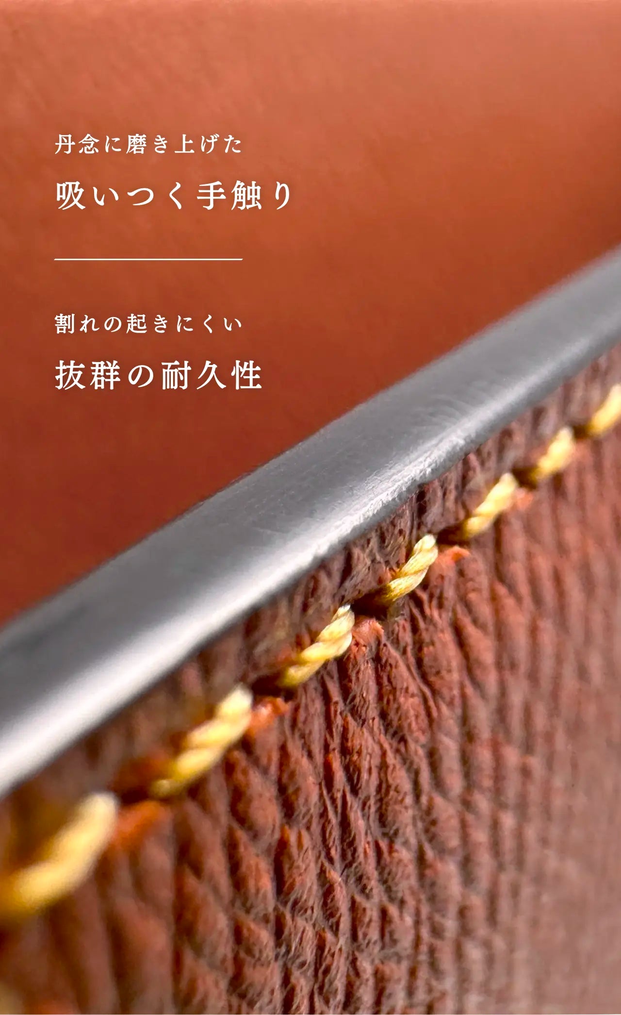 compact-wallet-benigara-050