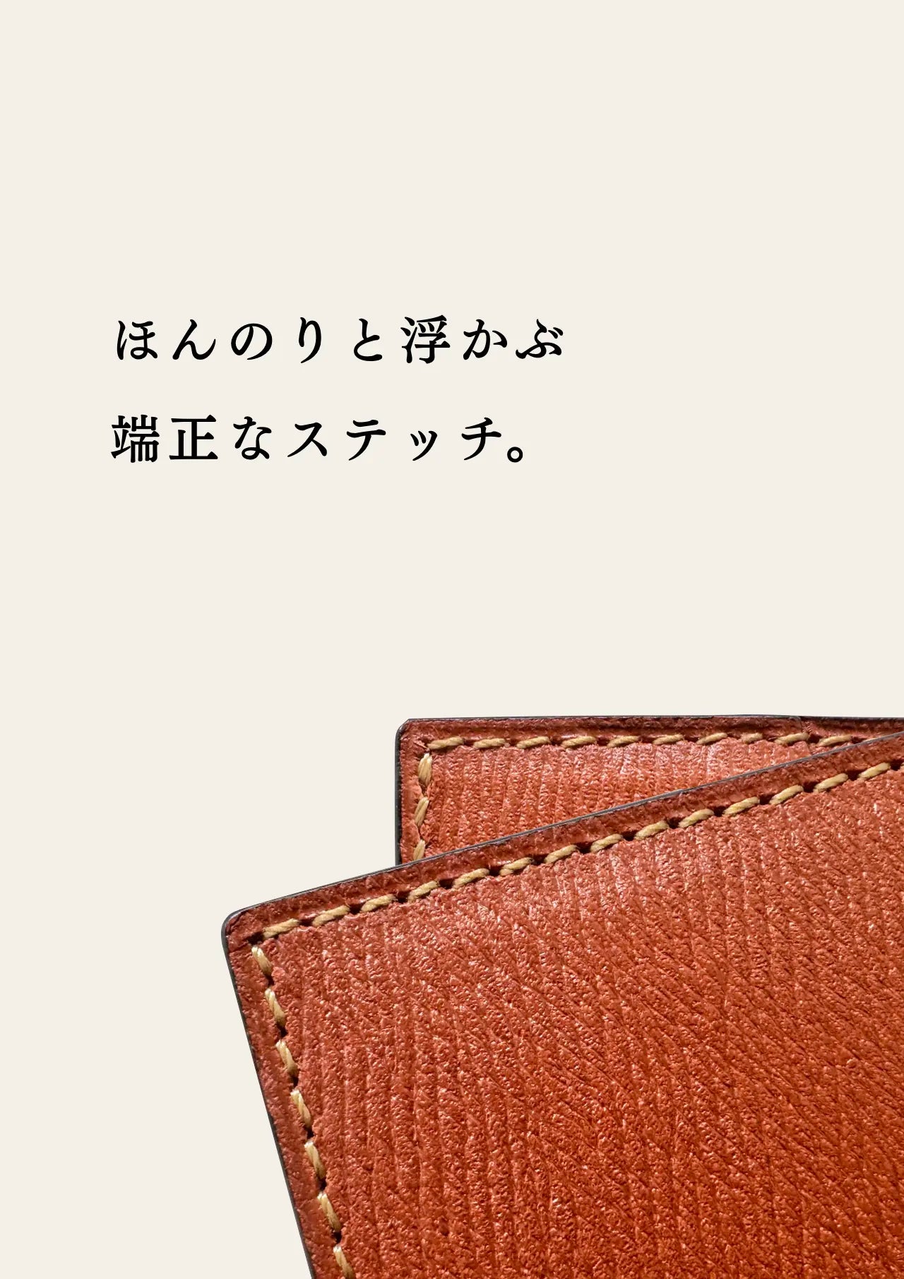 compact-wallet-benigara-056