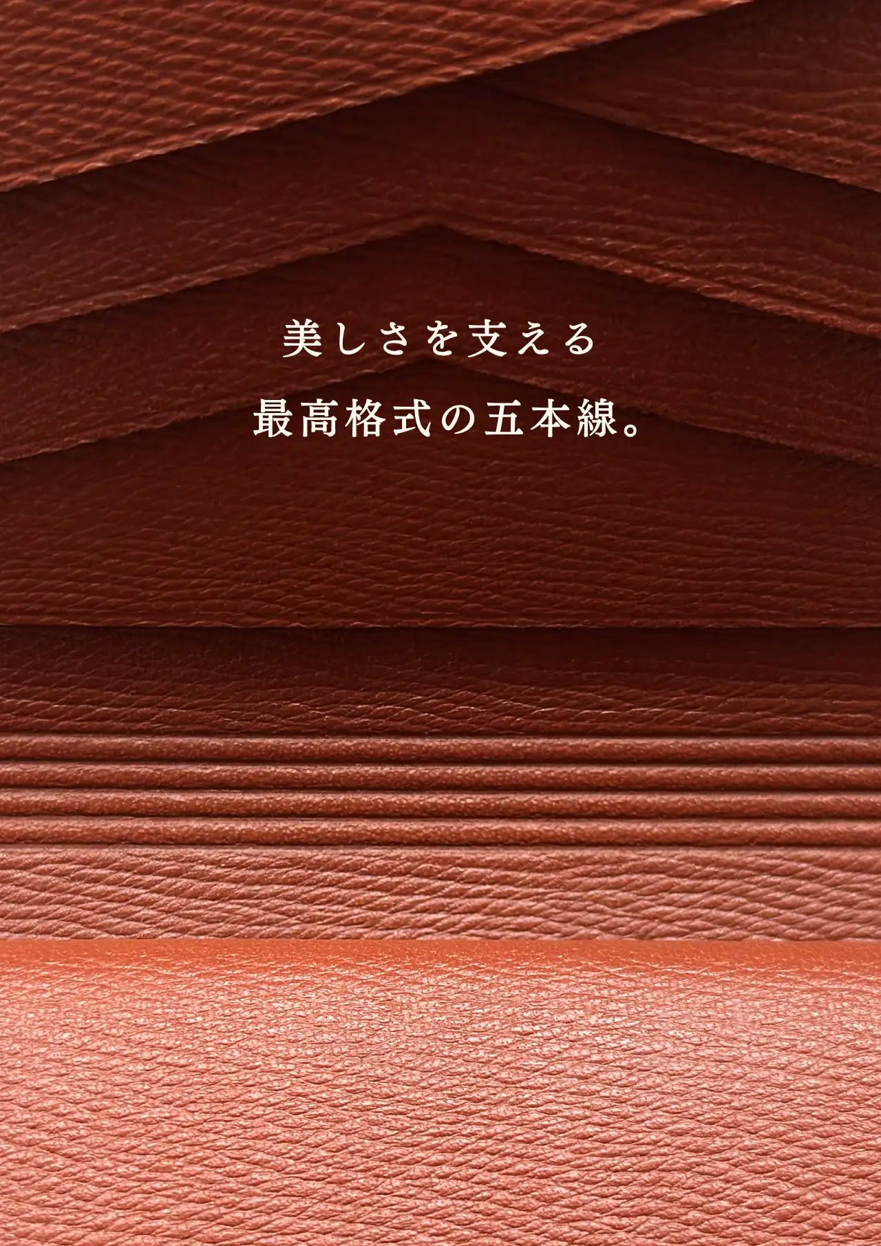 compact-wallet-benigara-058