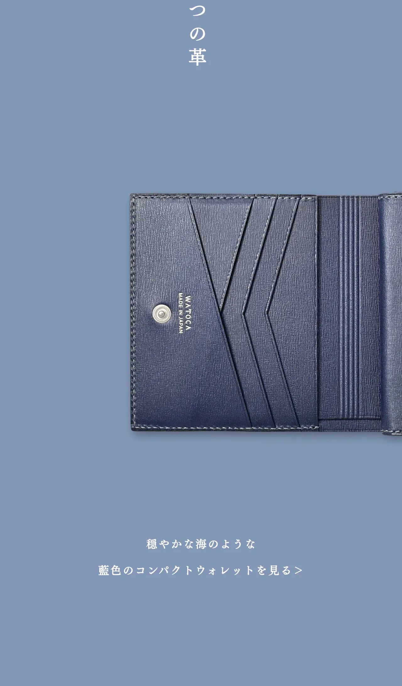 compact-wallet-karasuba-010