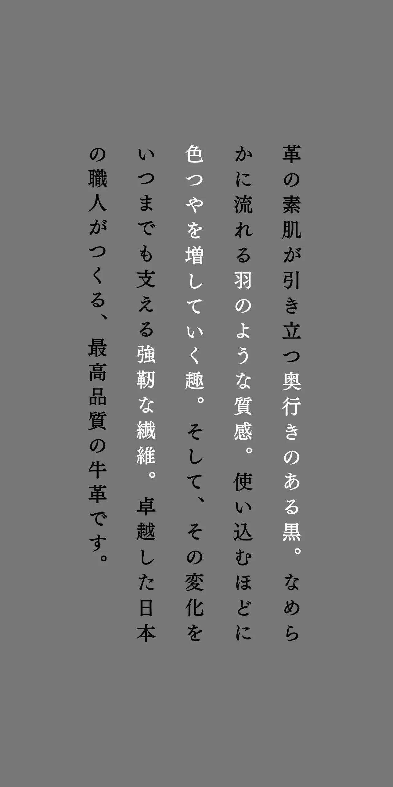 compact-wallet-karasuba-033