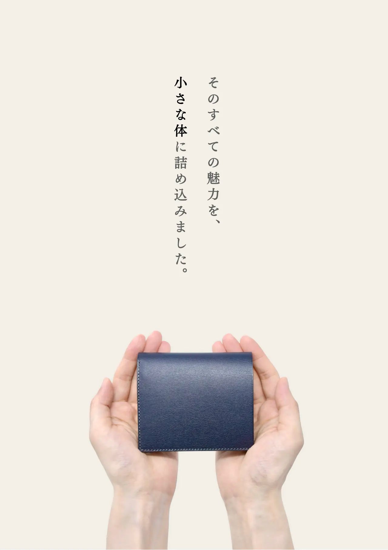 compact-wallet-sazanami-008