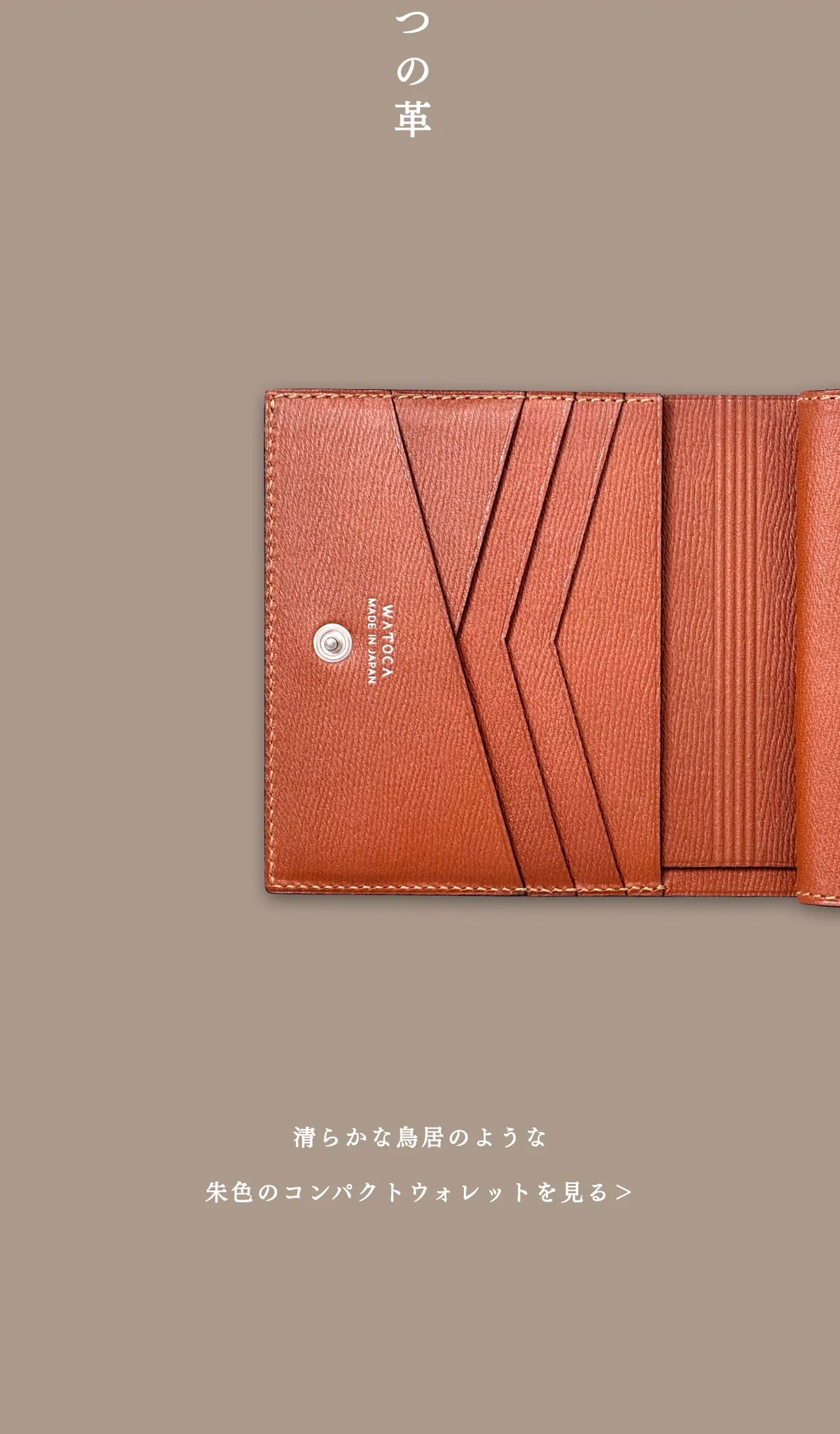 compact-wallet-sazanami-010