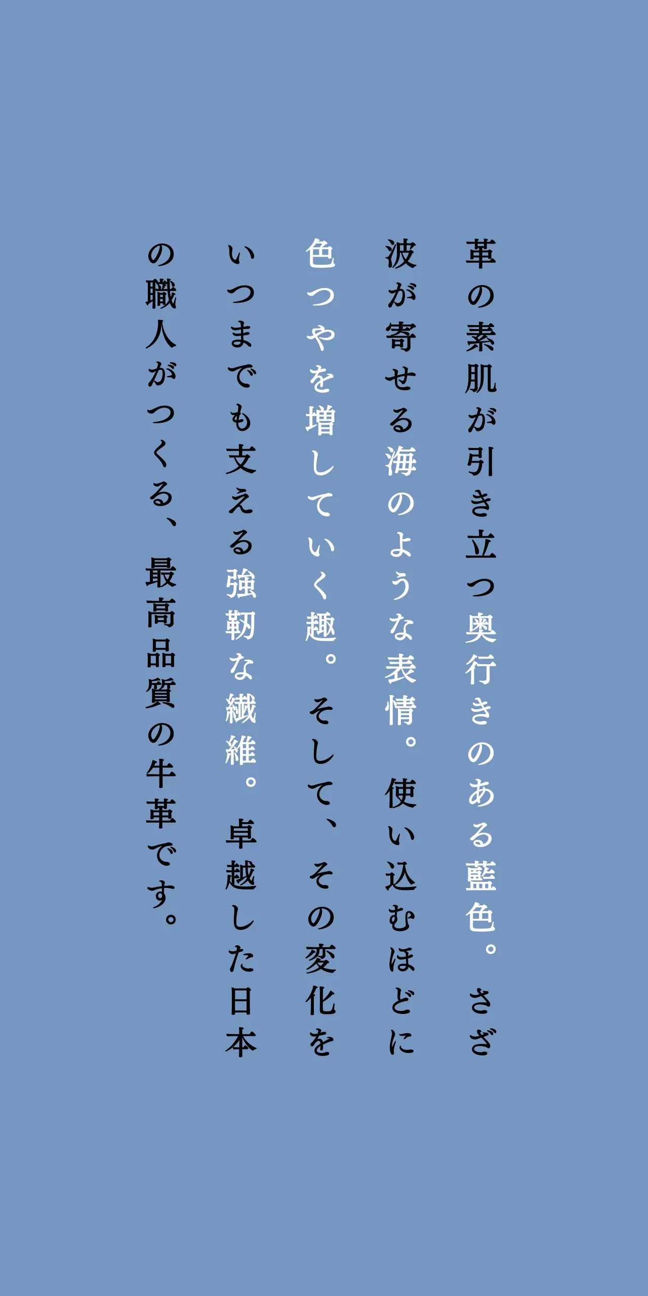 compact-wallet-sazanami-033