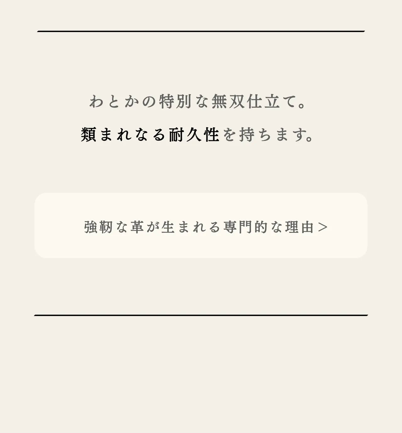 compact-wallet-sazanami-047