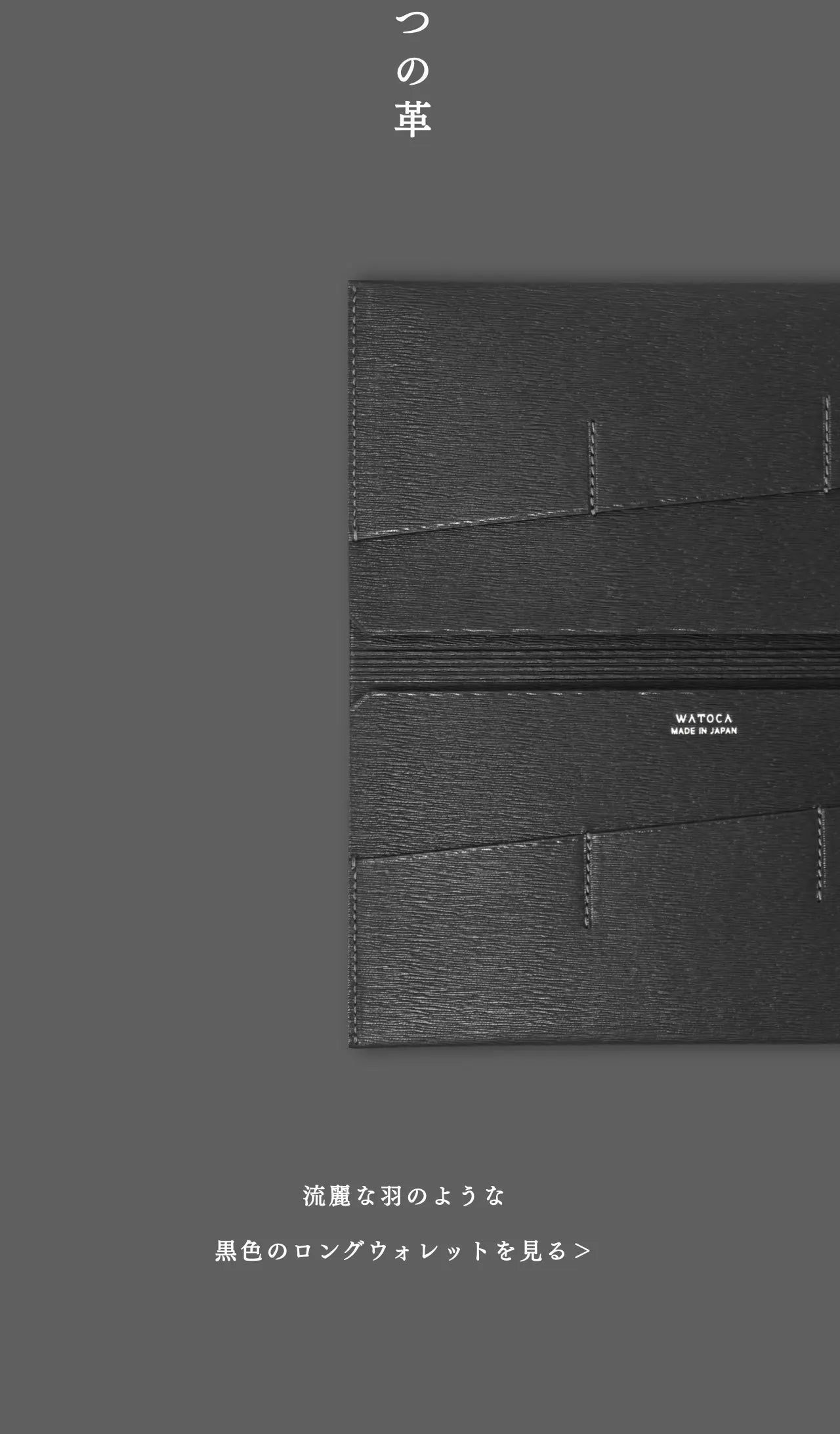 slim-card-long-wallet-benigara-010