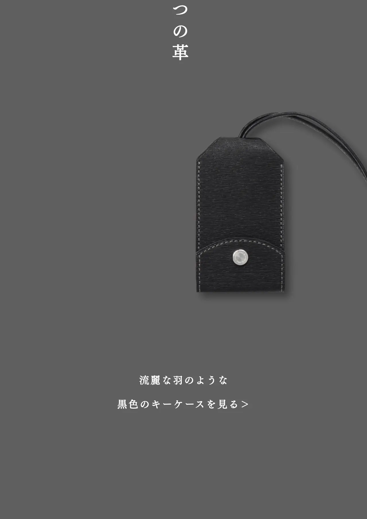 compact-key-case-benigara-010