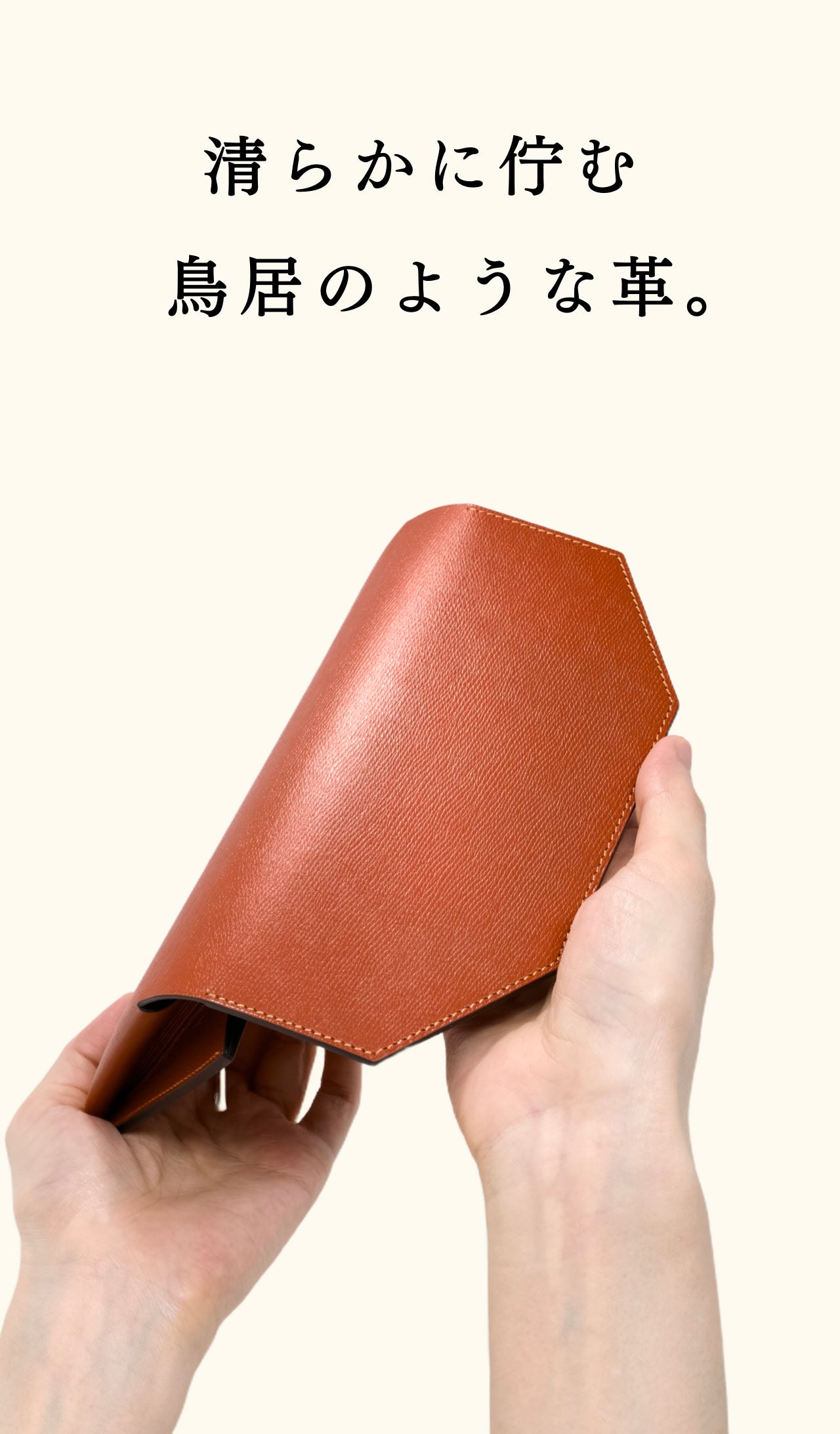 compact-long-wallet-benigara-029