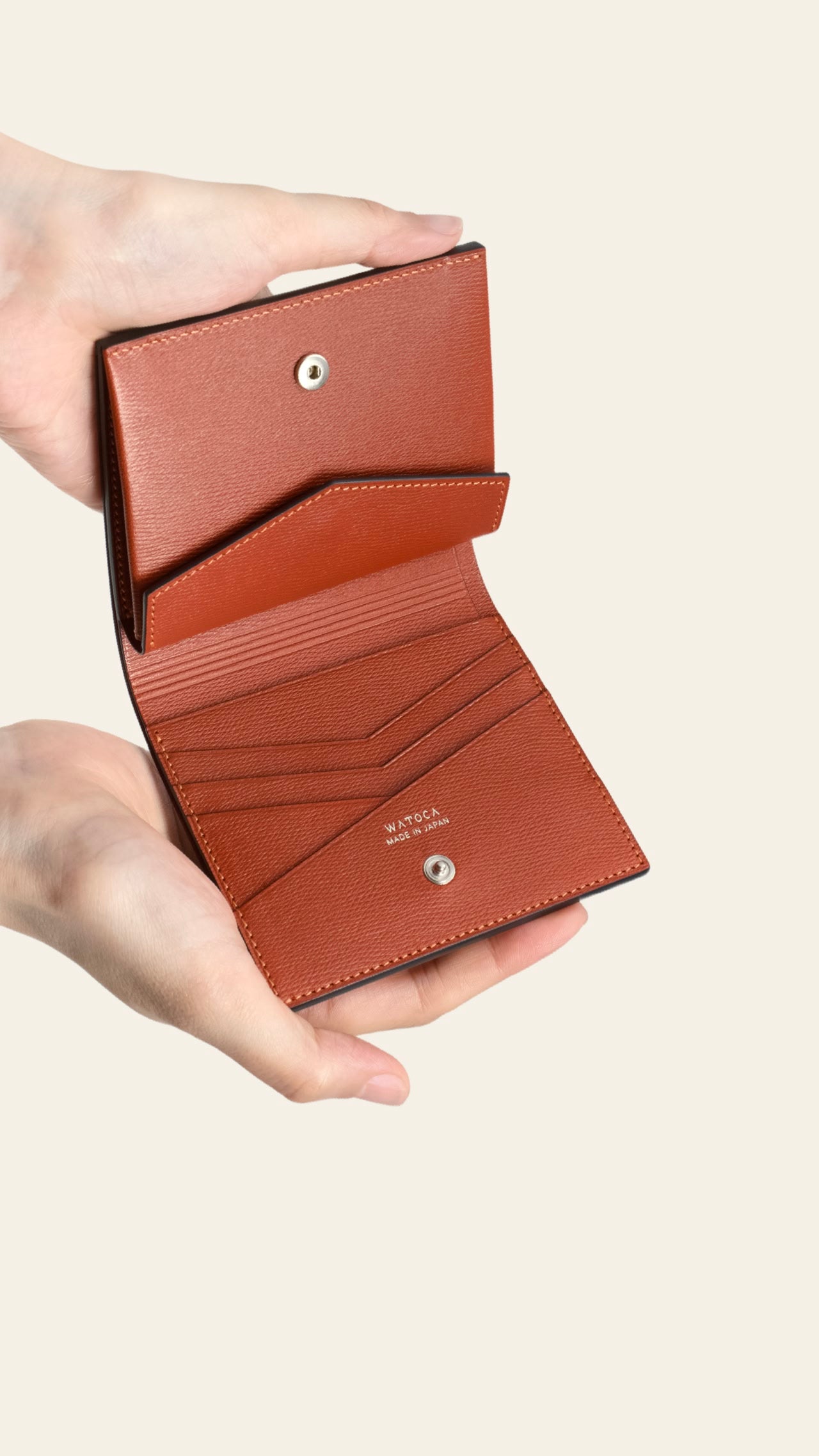 compact-wallet-benigara-002