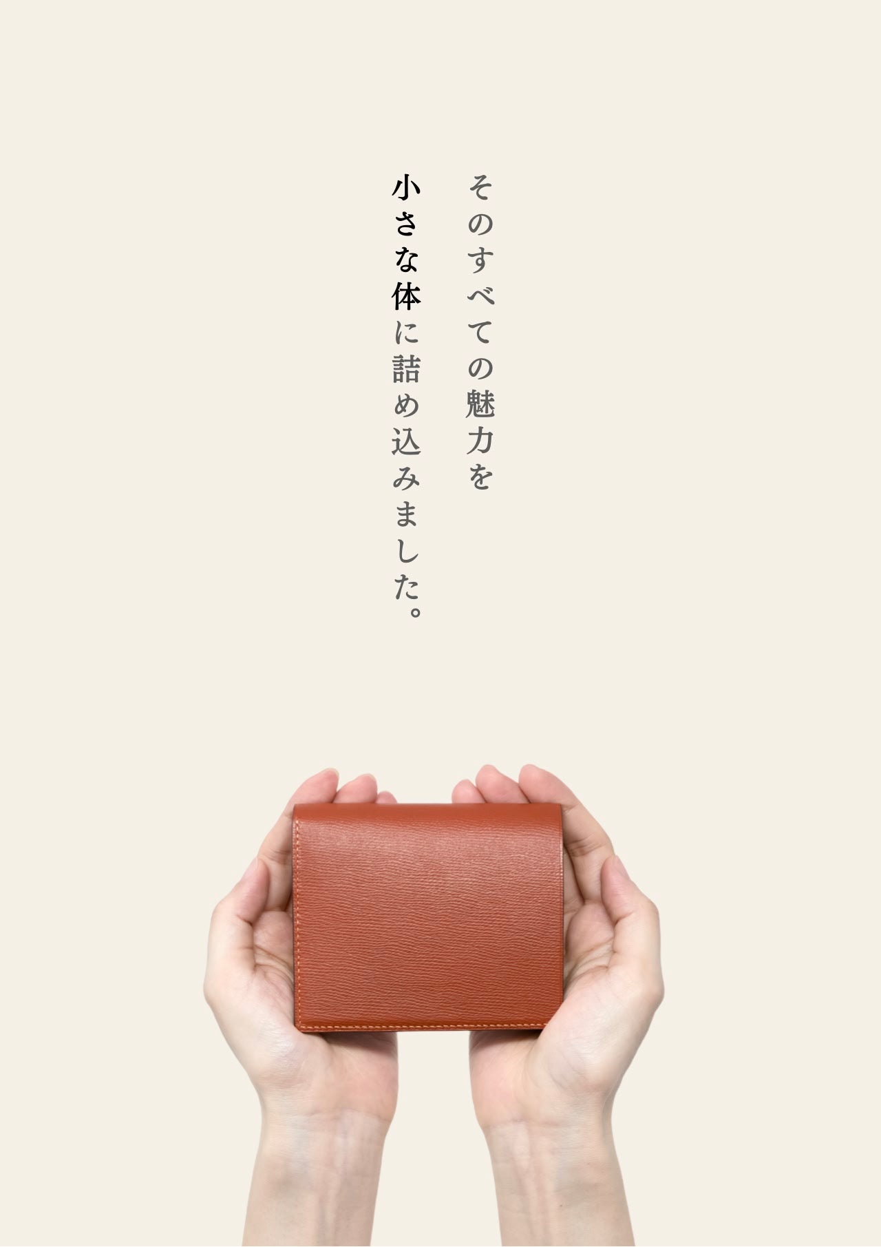 compact-wallet-benigara-008