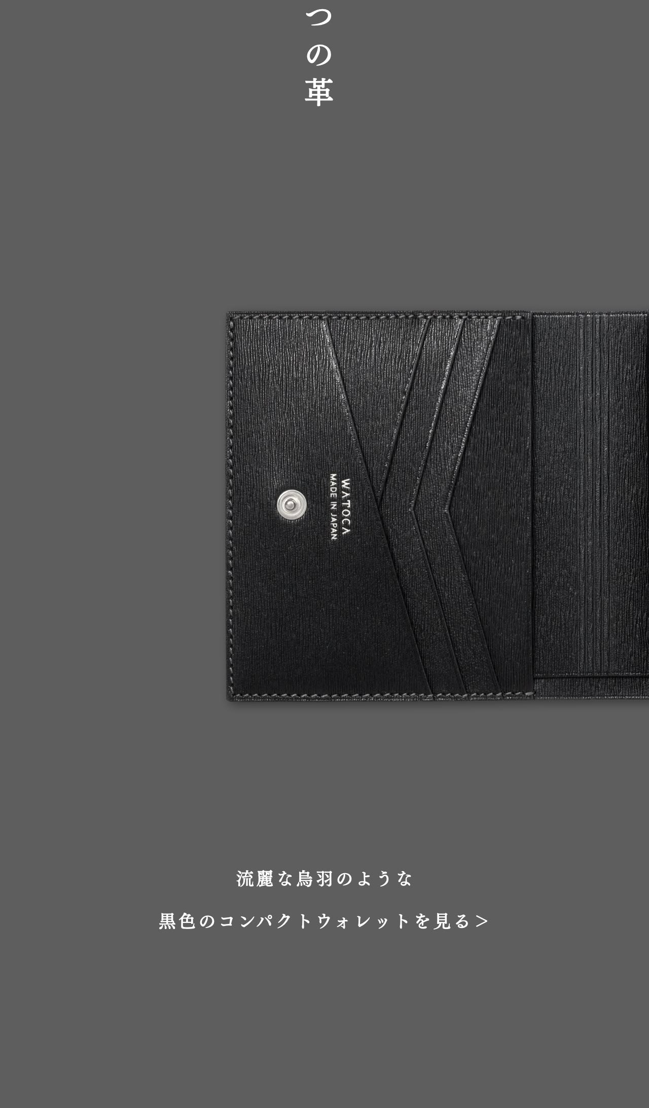 compact-wallet-benigara-010