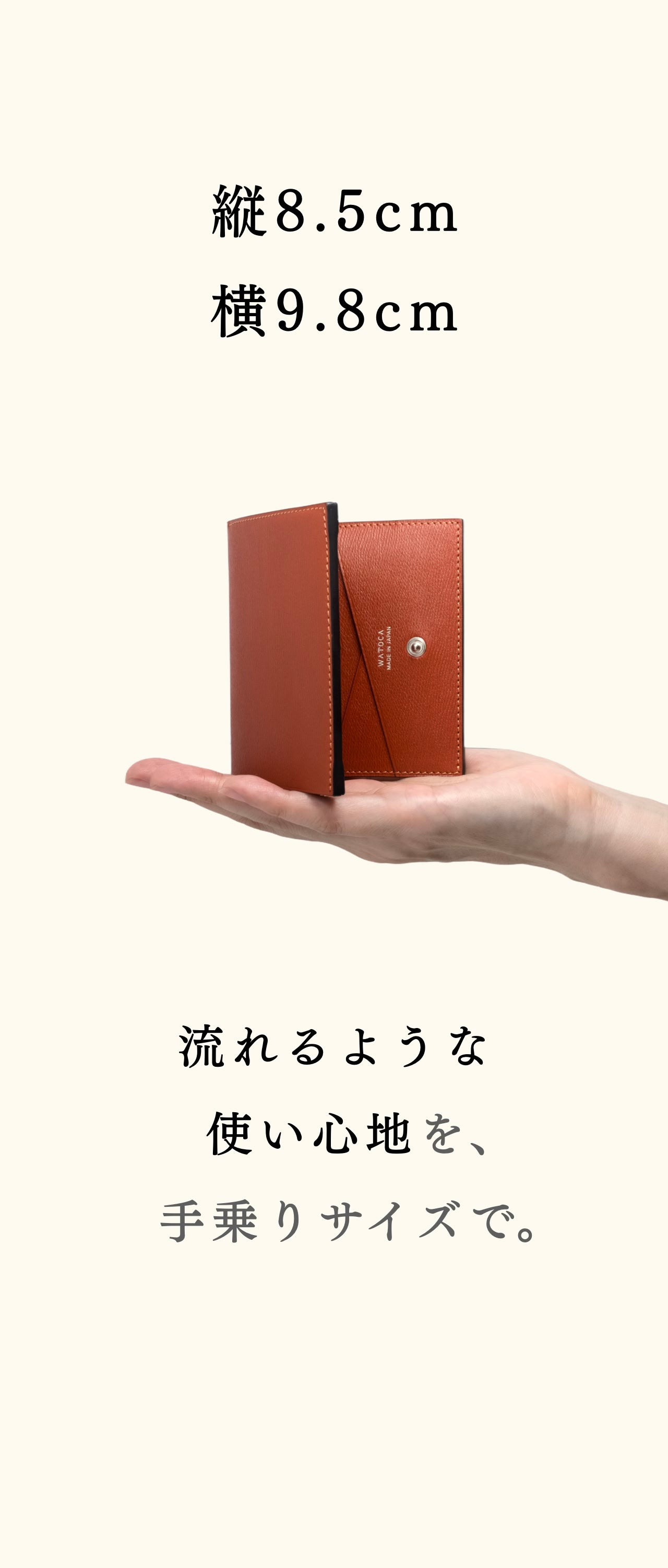 compact-wallet-benigara-012