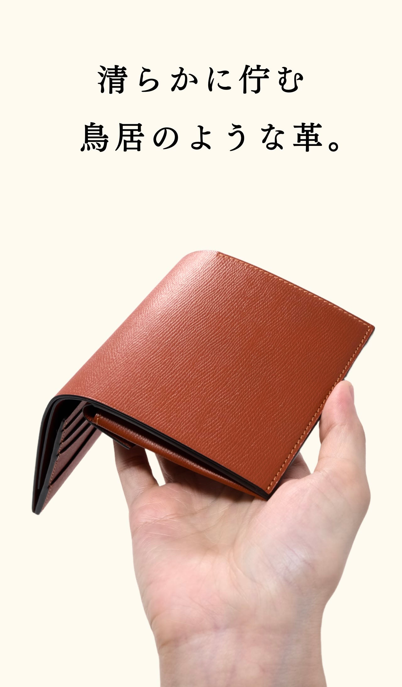 compact-wallet-benigara-033
