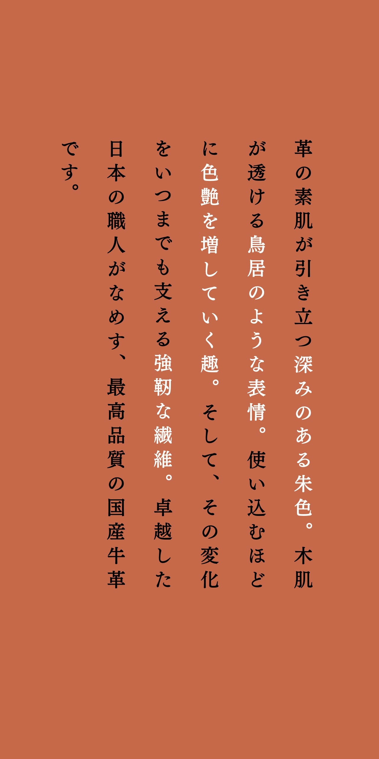 compact-wallet-benigara-034