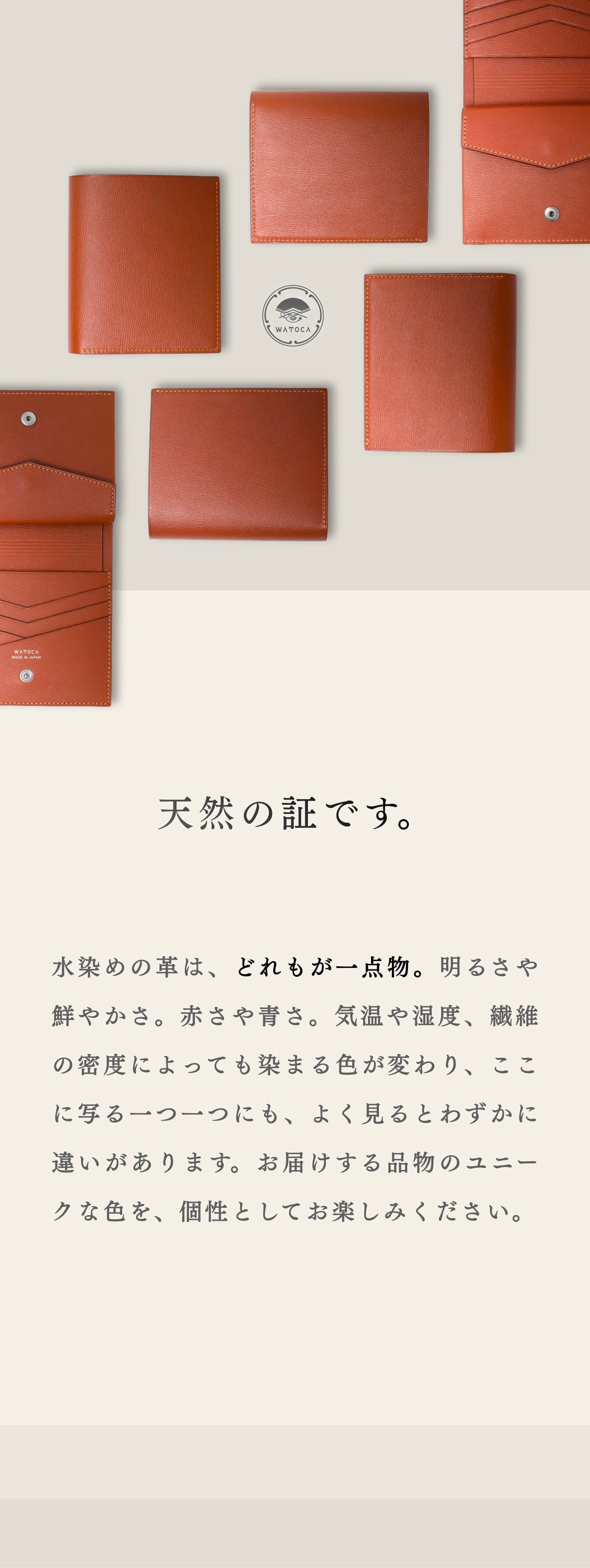 compact-wallet-benigara-040