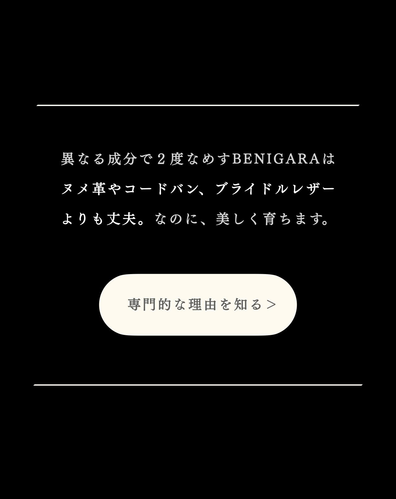 compact-wallet-benigara-046