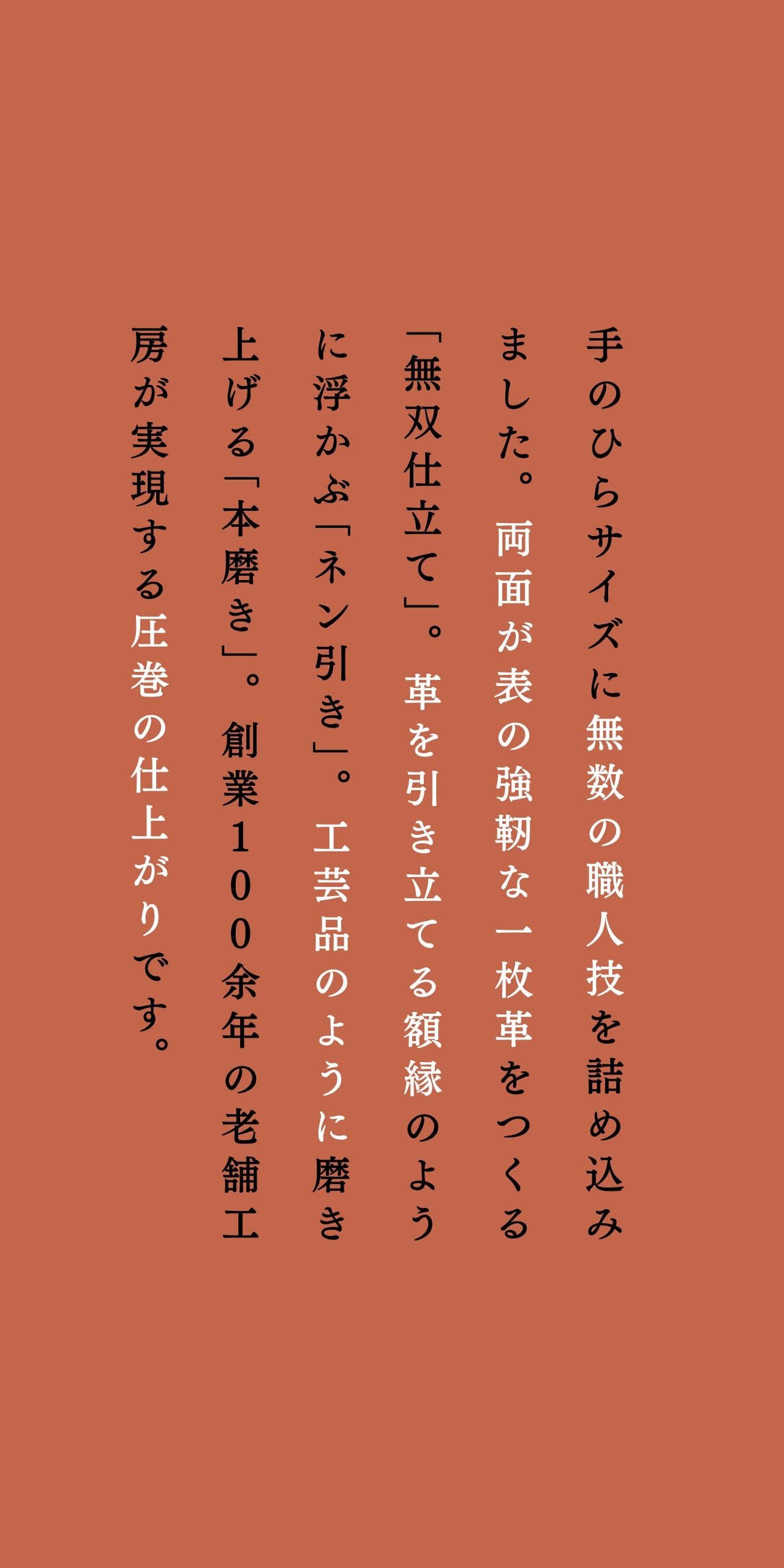 compact-wallet-benigara-049