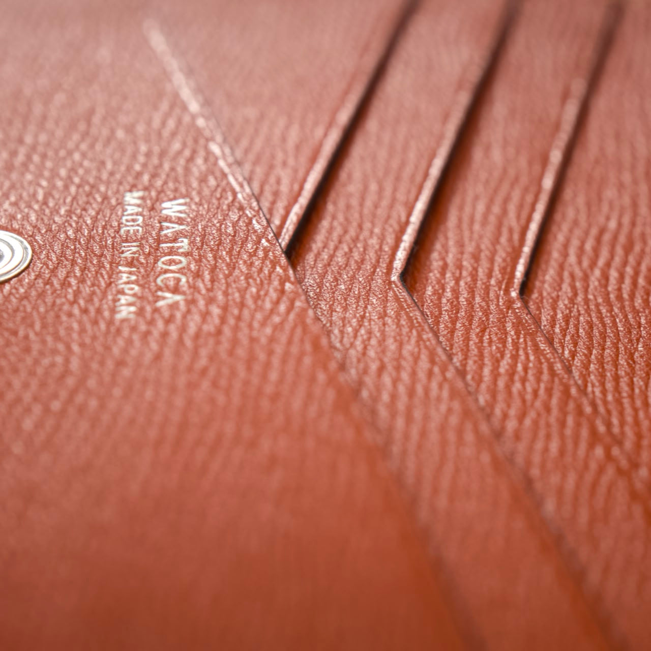 compact-wallet-benigara-057