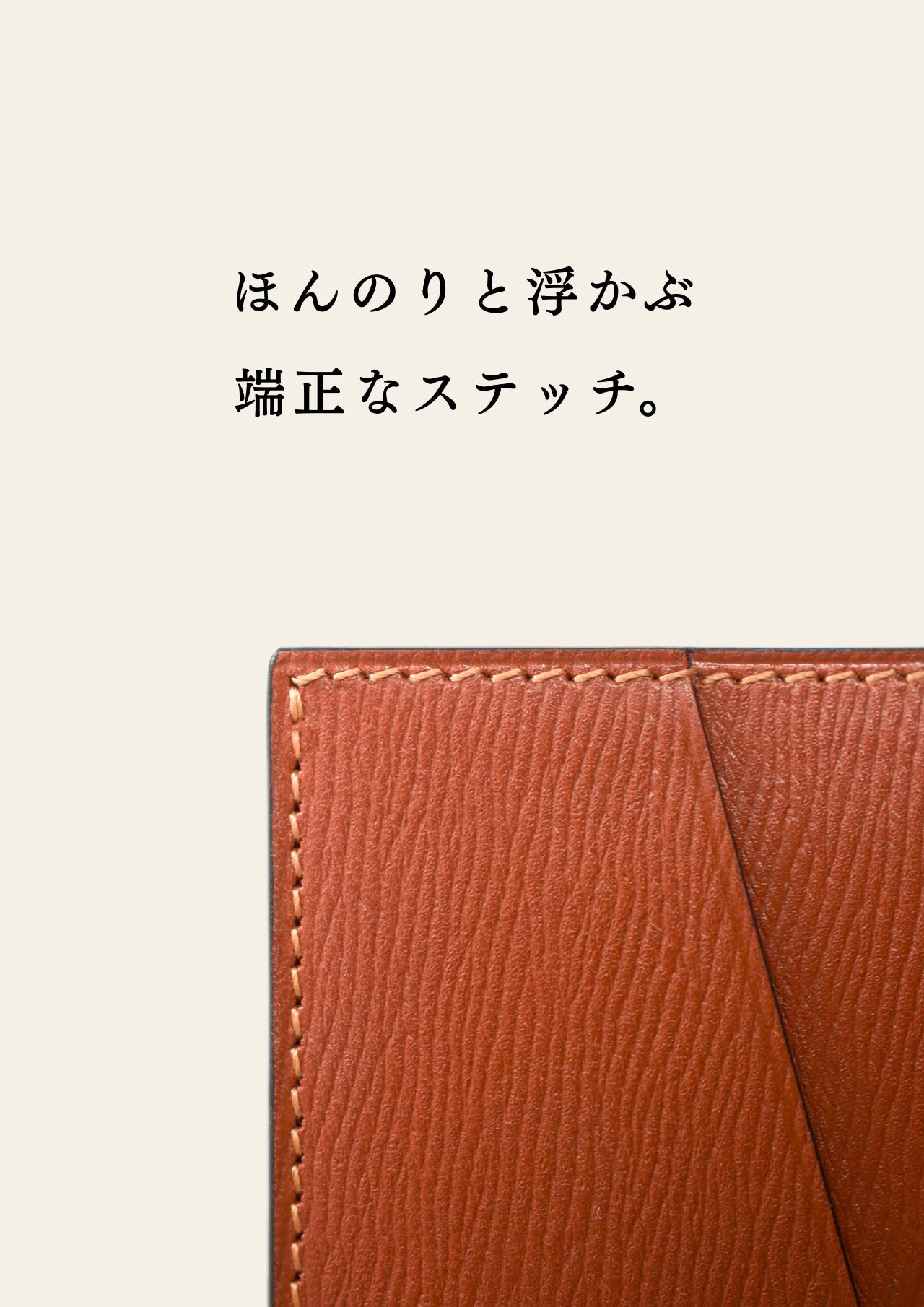 compact-wallet-benigara-059