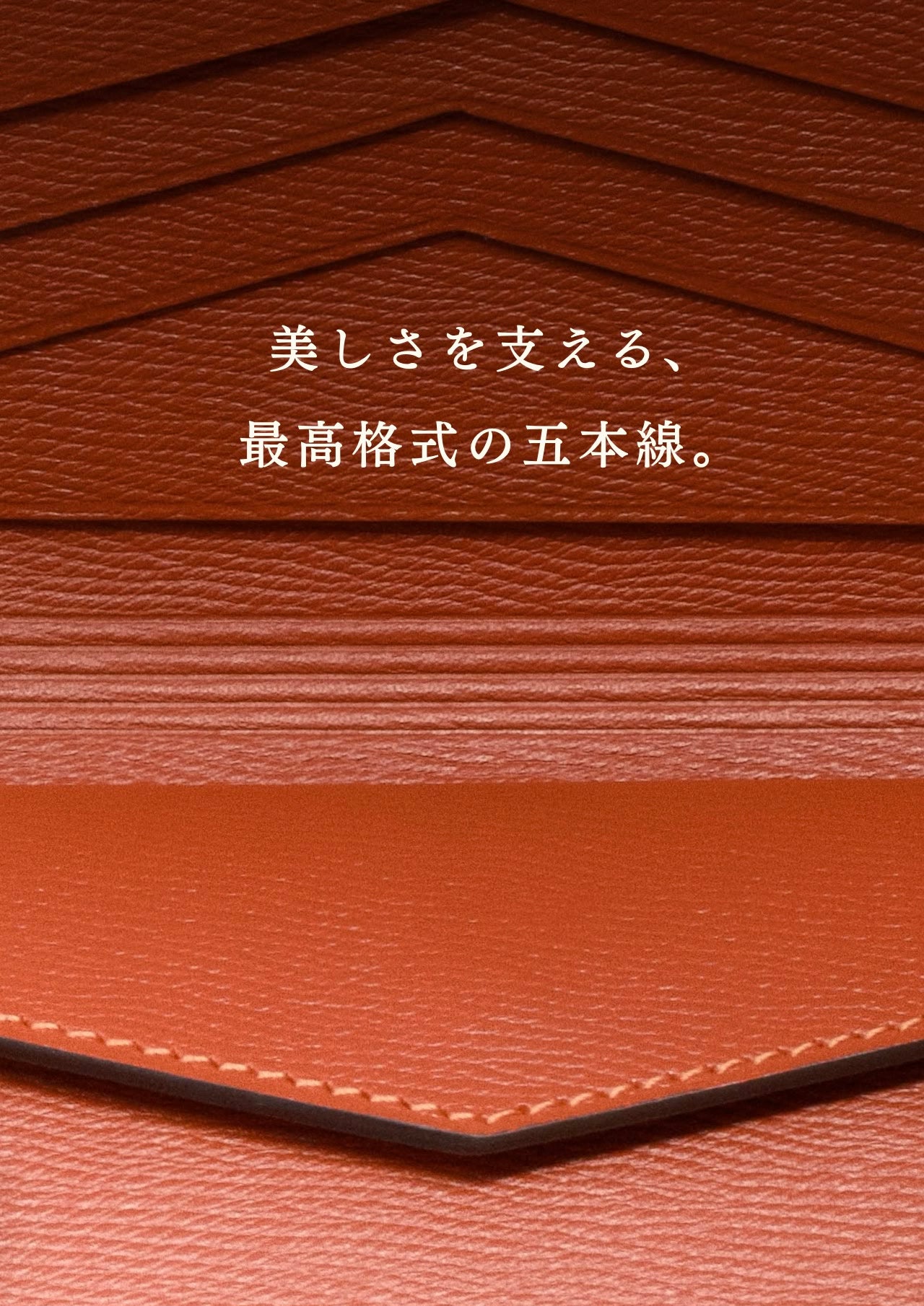 compact-wallet-benigara-061