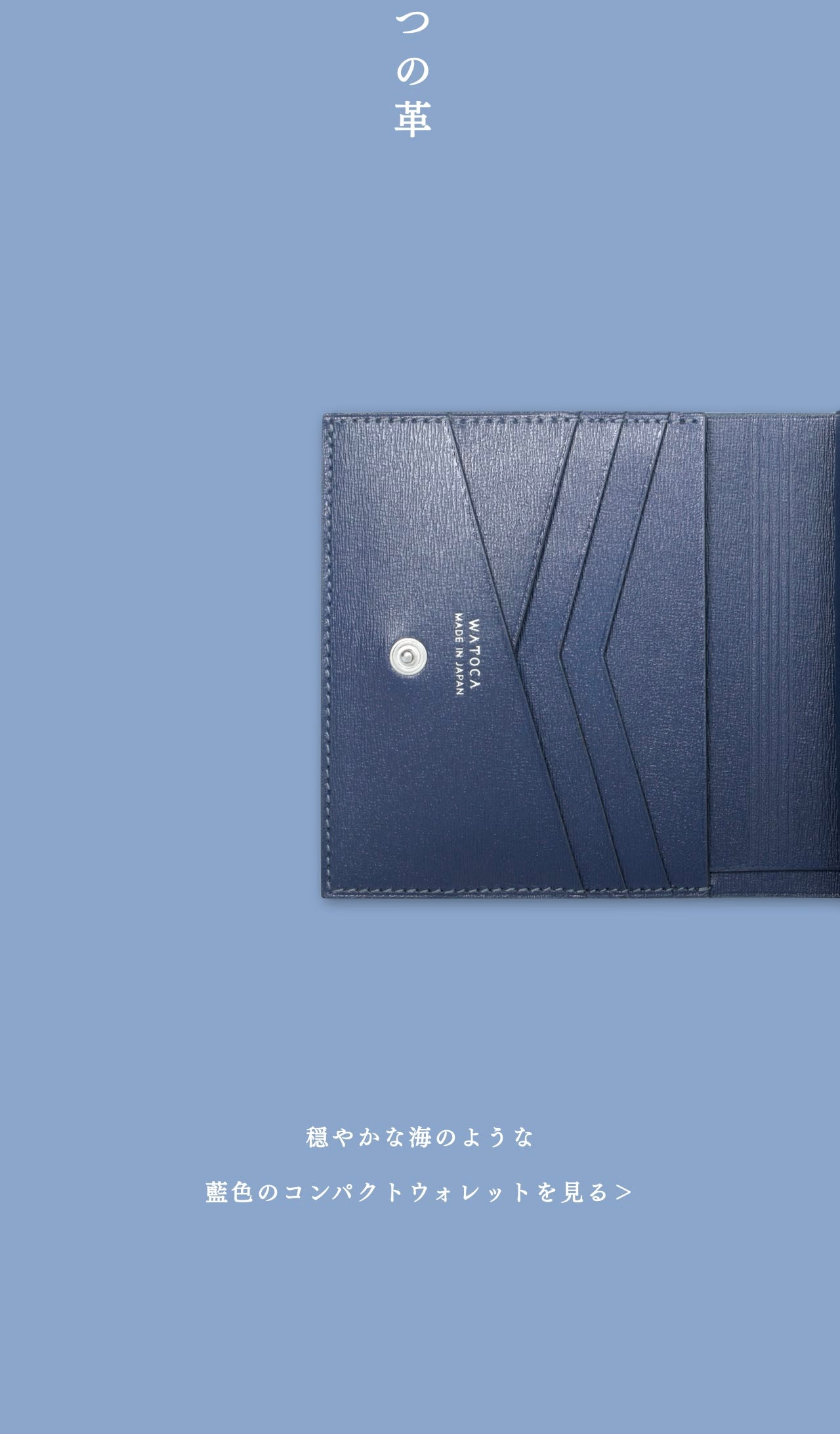 compact-wallet-karasuba-010