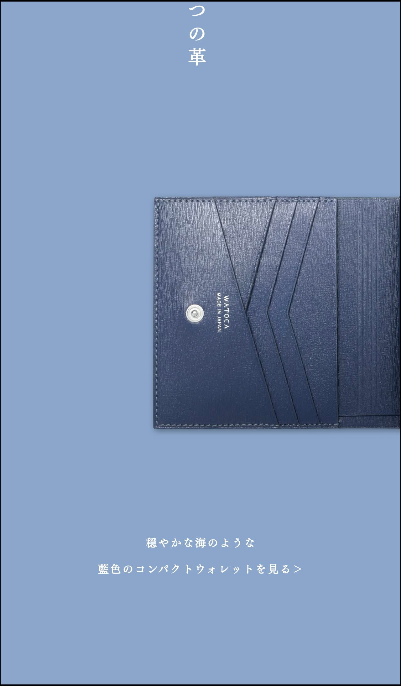 compact-wallet-karasuba-010