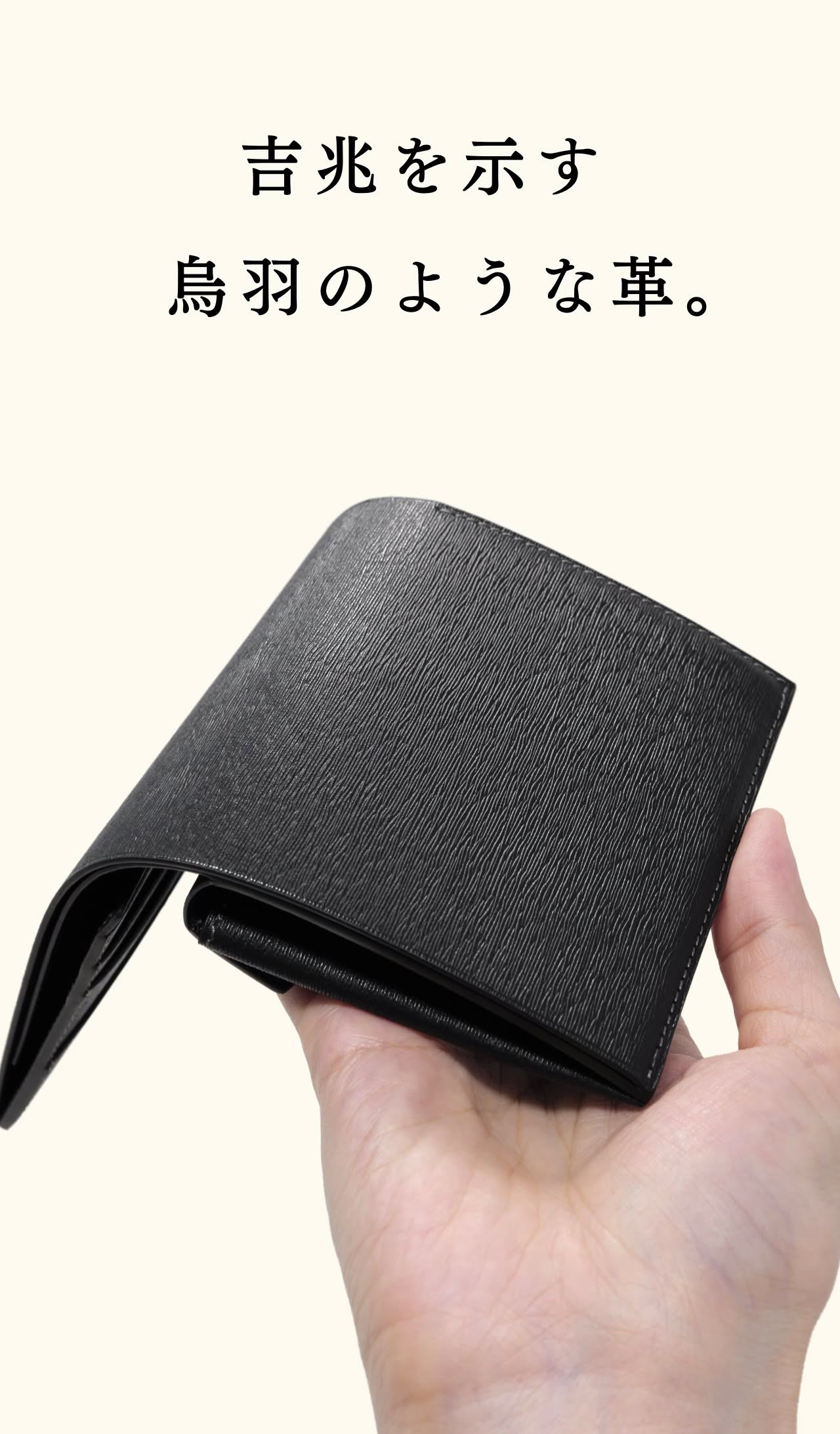 compact-wallet-karasuba-033