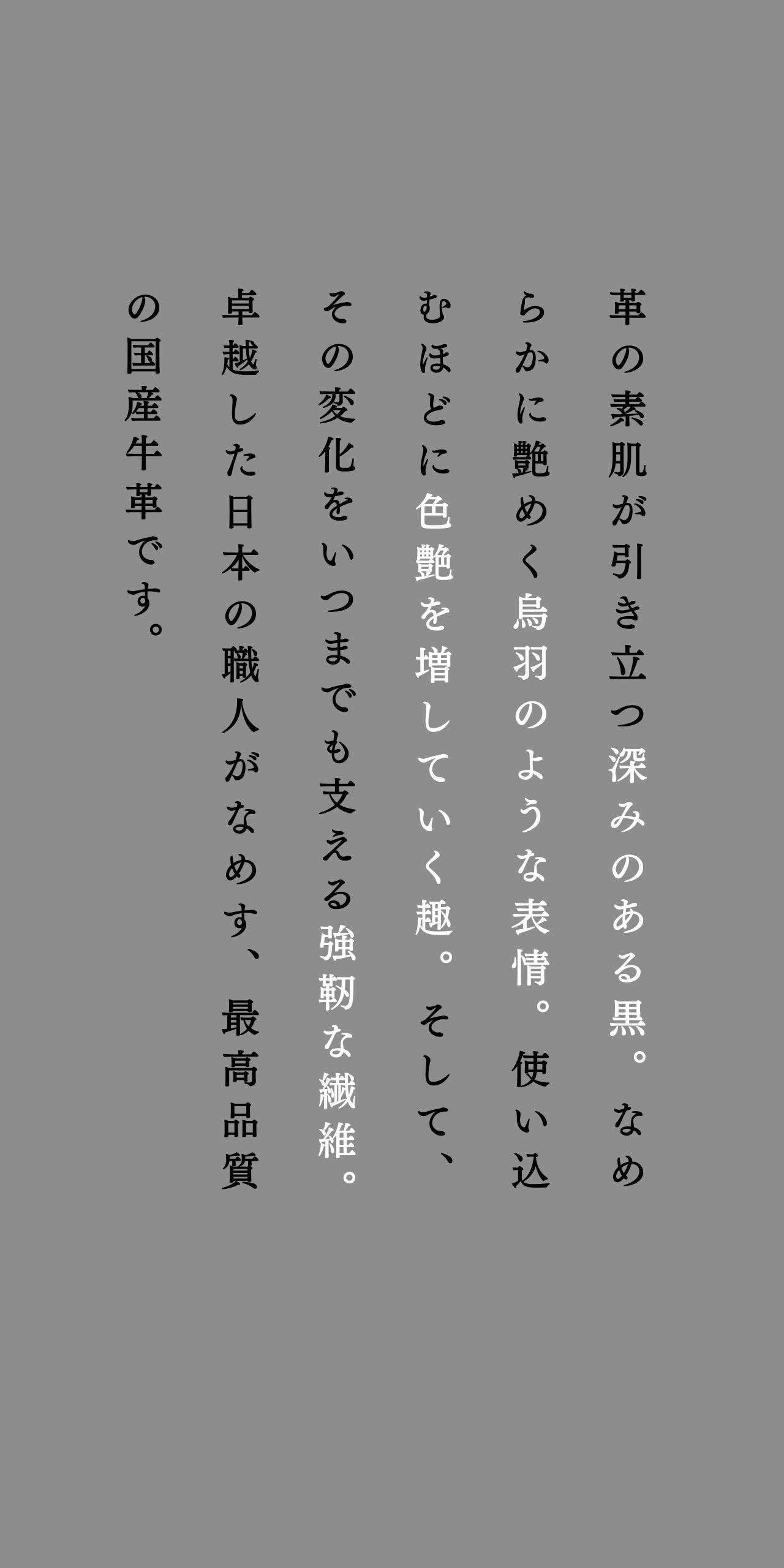 compact-wallet-karasuba-034