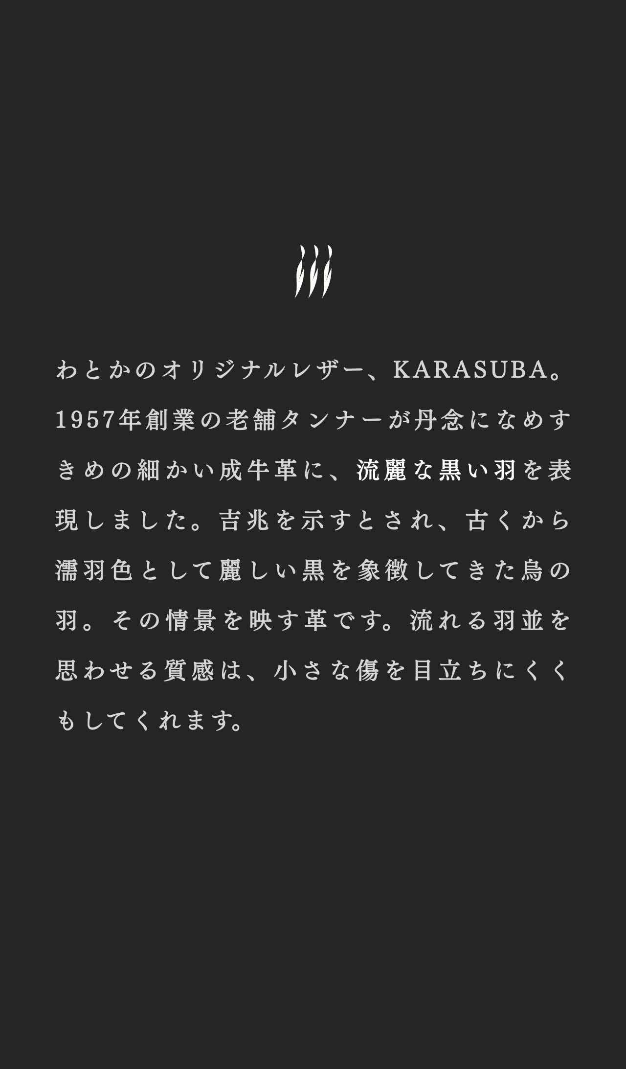 compact-wallet-karasuba-036