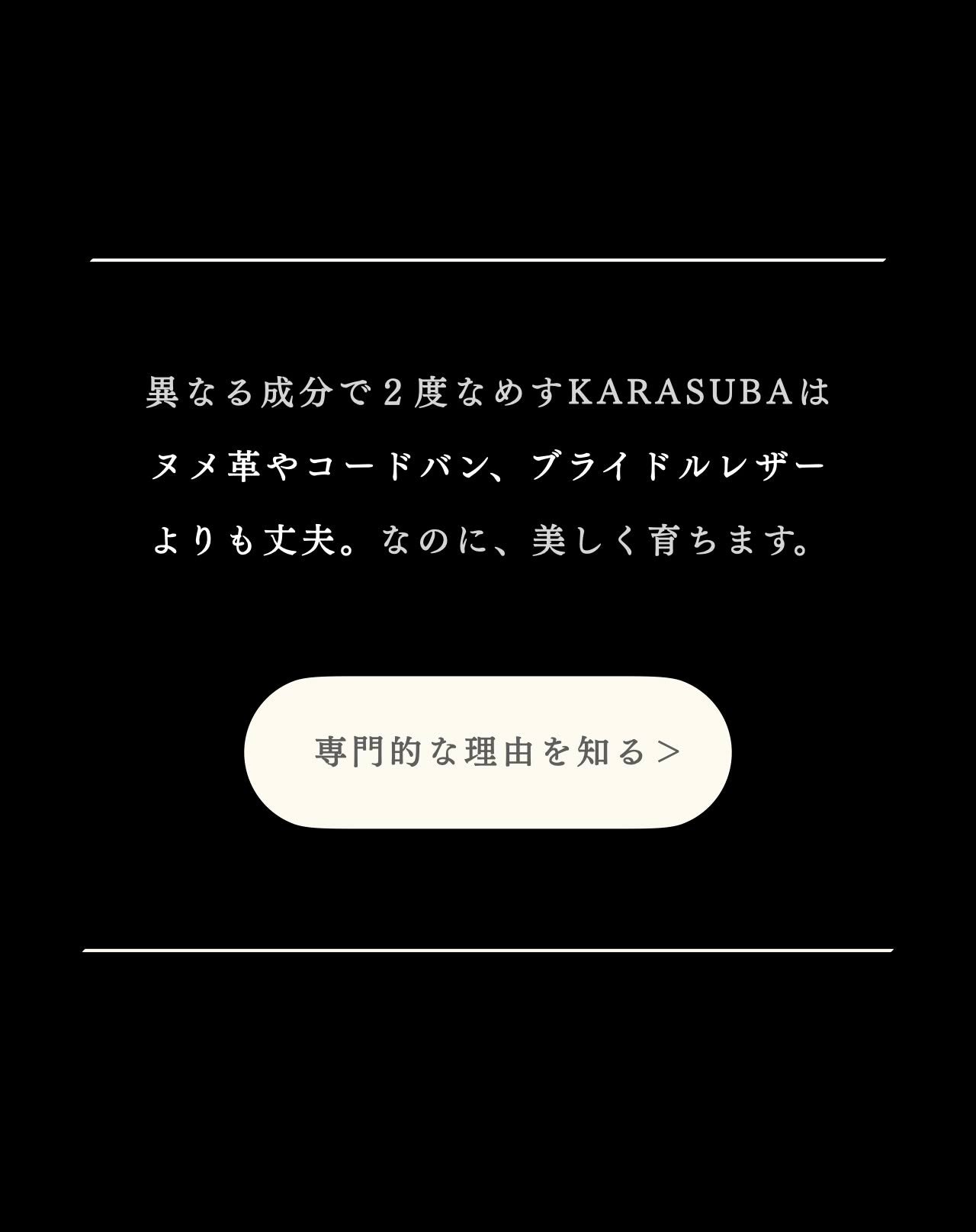 compact-wallet-karasuba-046