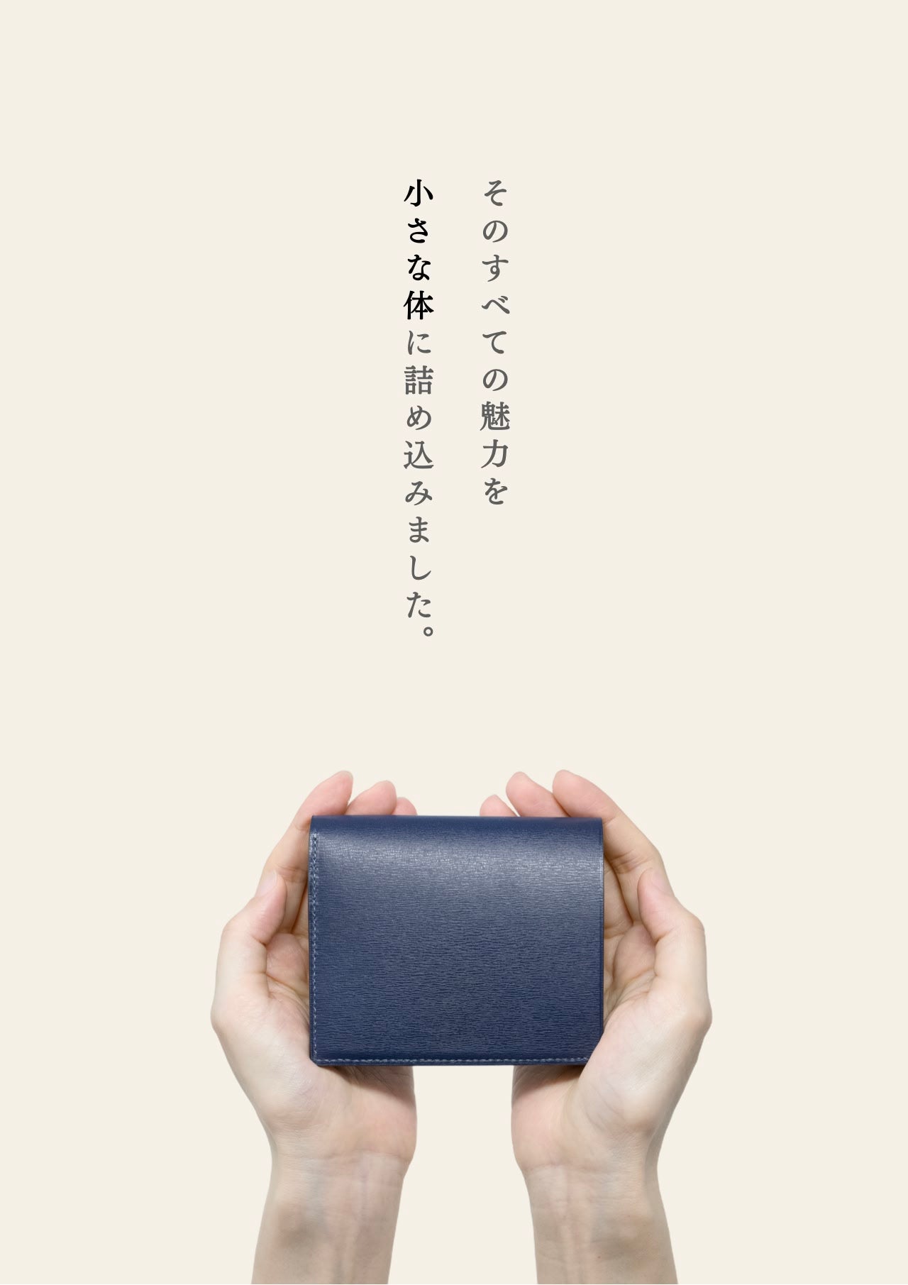 compact-wallet-sazanami-008