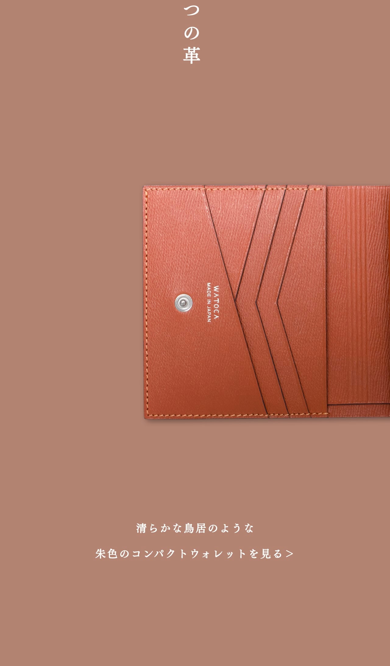 compact-wallet-sazanami-010