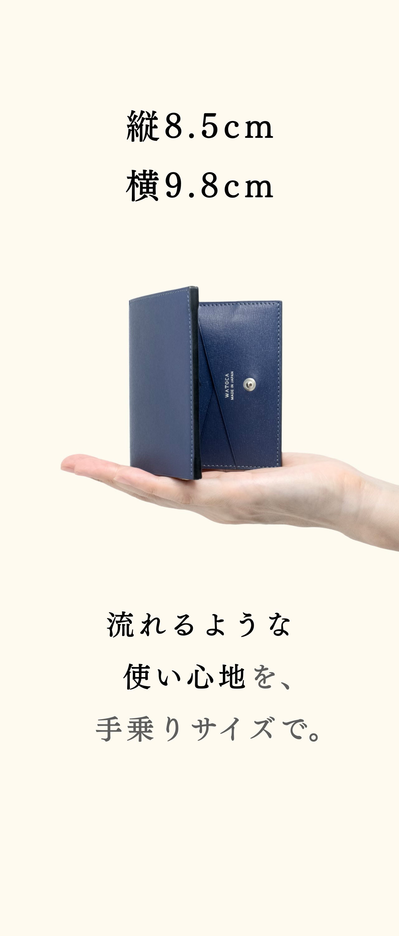compact-wallet-sazanami-012