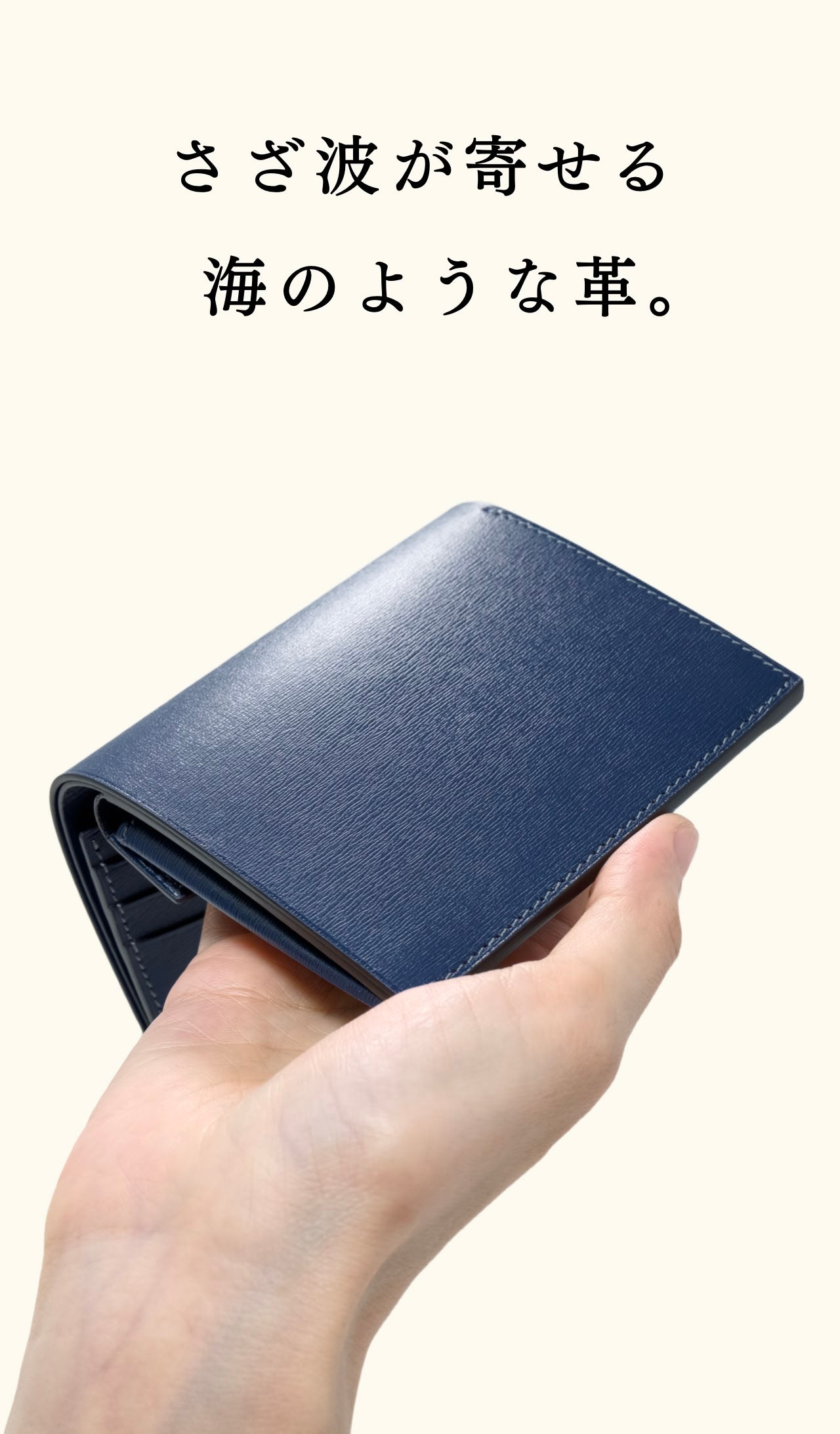 compact-wallet-sazanami-033