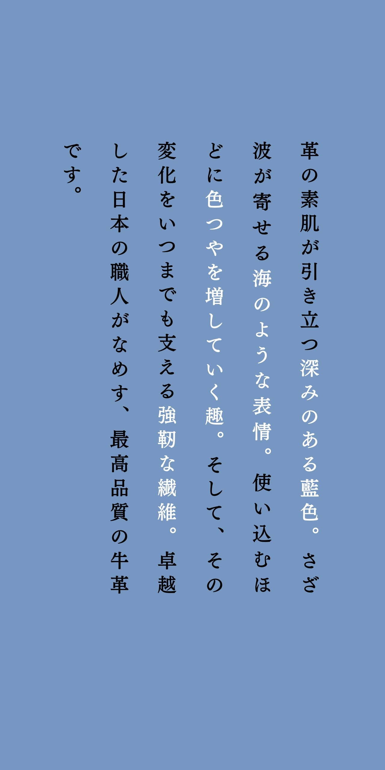 compact-wallet-sazanami-034