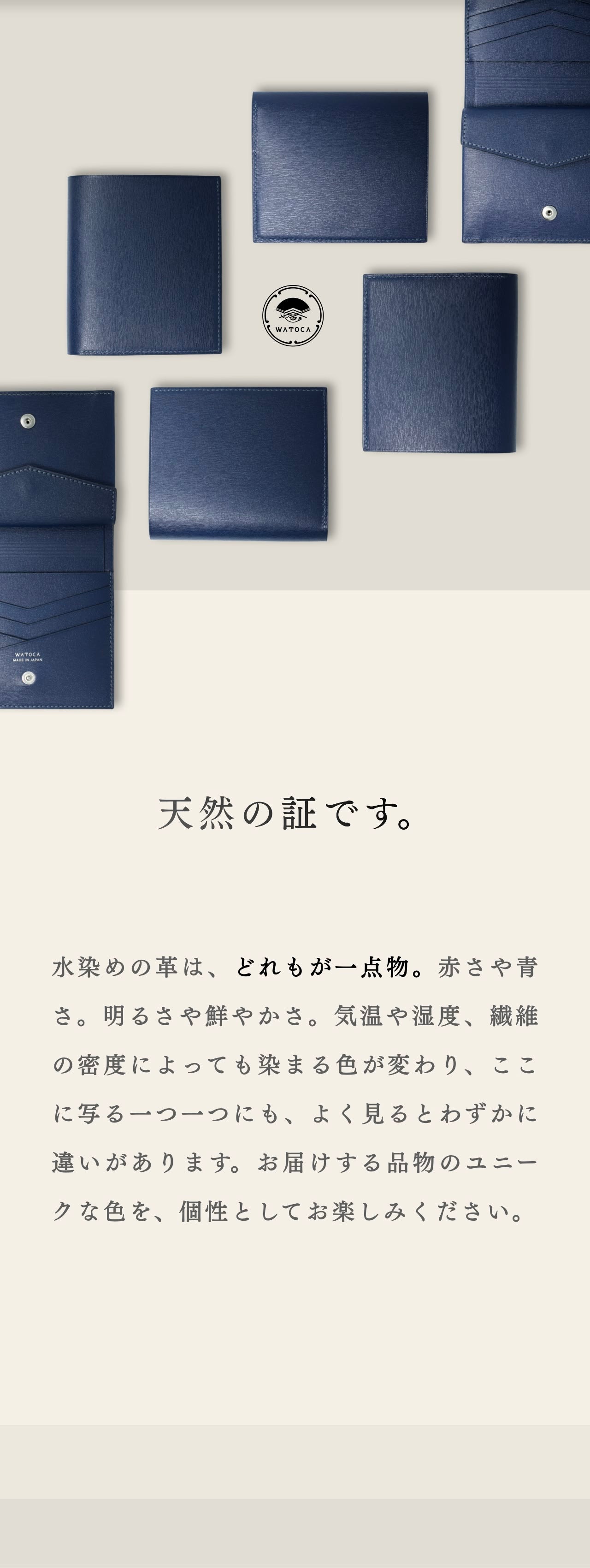 compact-wallet-sazanami-040