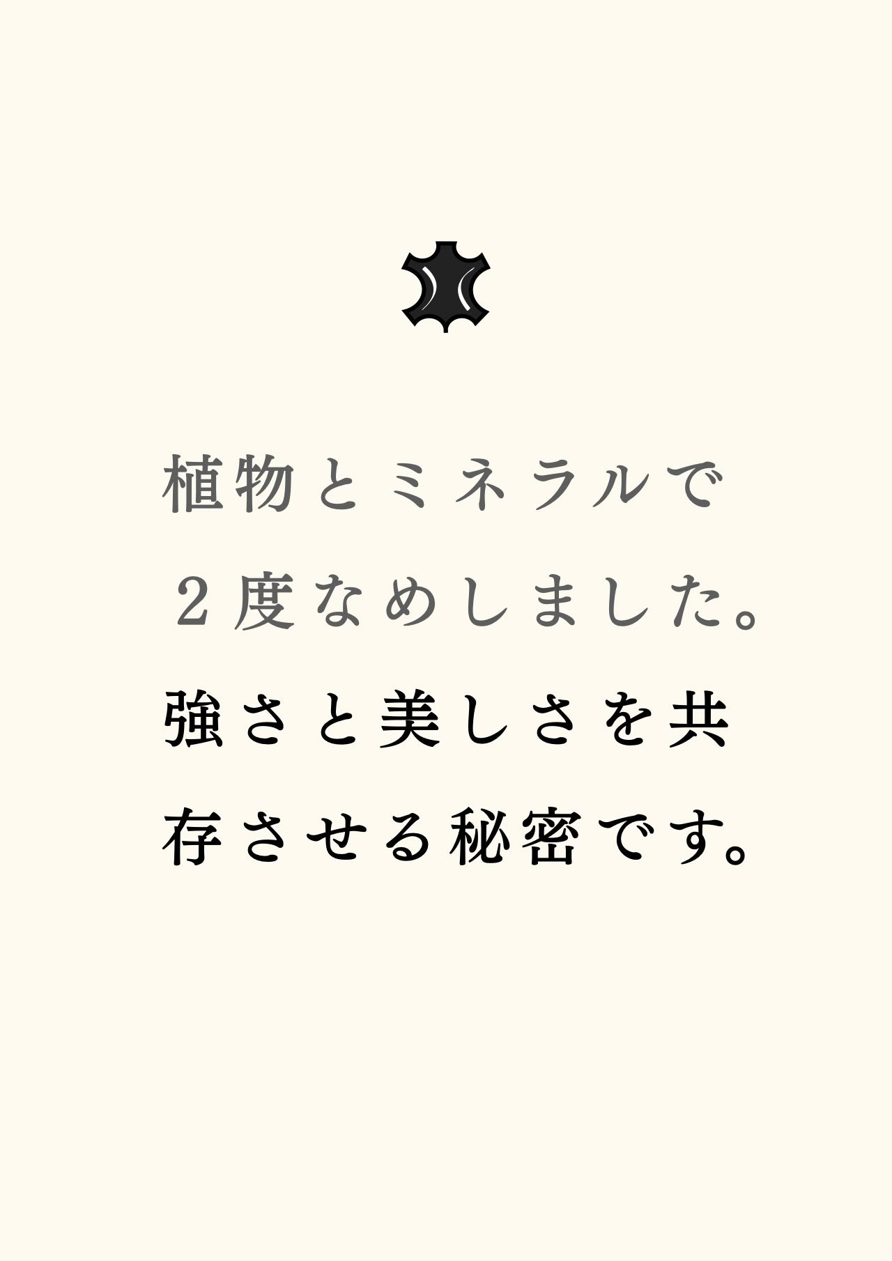 compact-wallet-sazanami-041