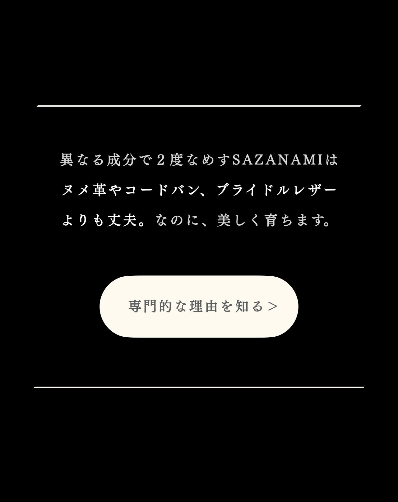 compact-wallet-sazanami-046