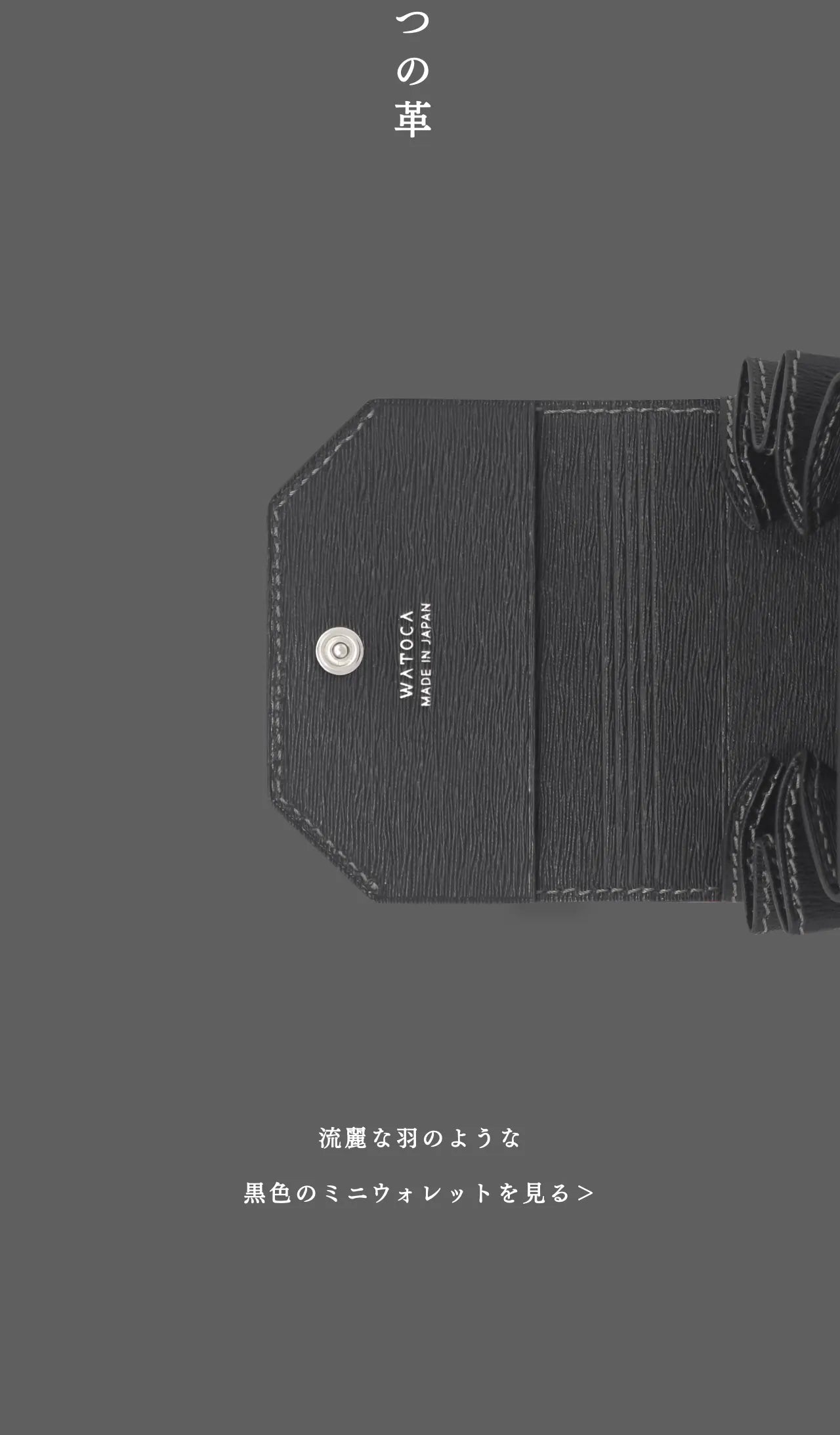 mini-cash-wallet-benigara-010
