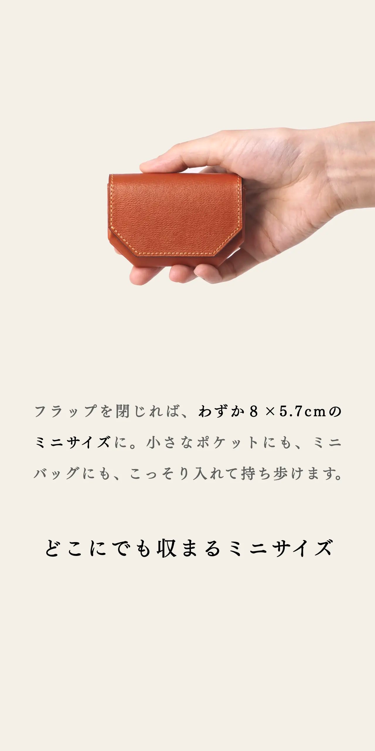 mini-cash-wallet-benigara-013