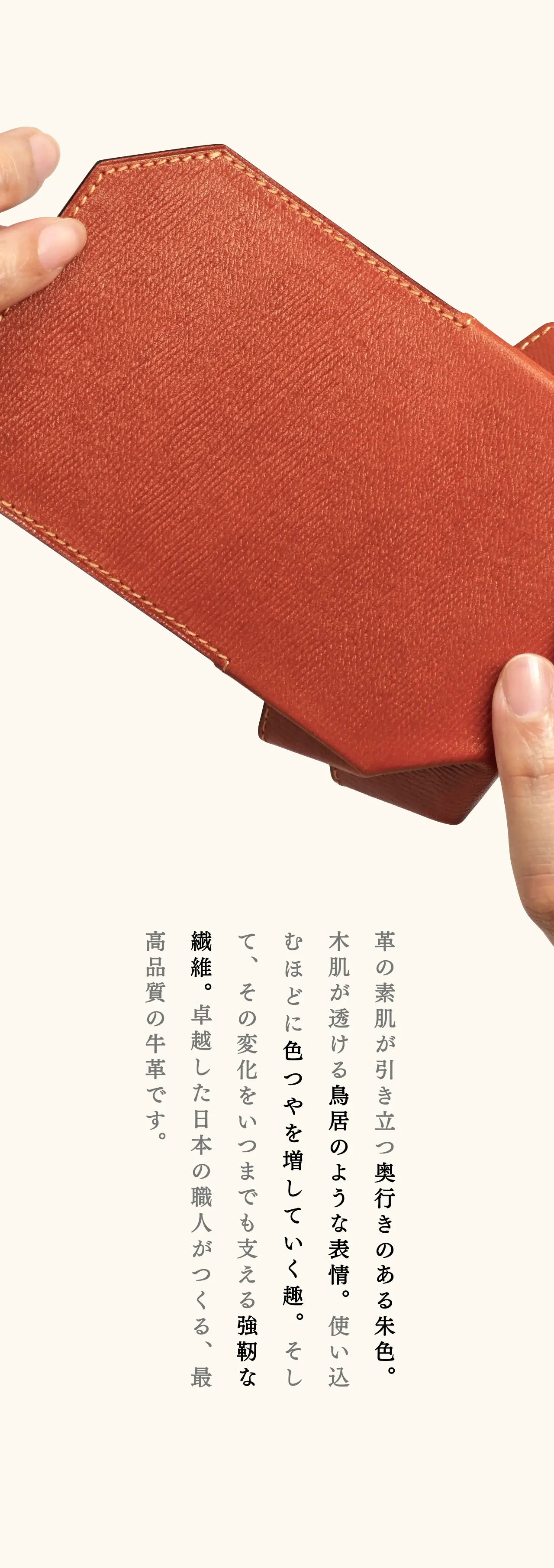 mini-cash-wallet-benigara-026