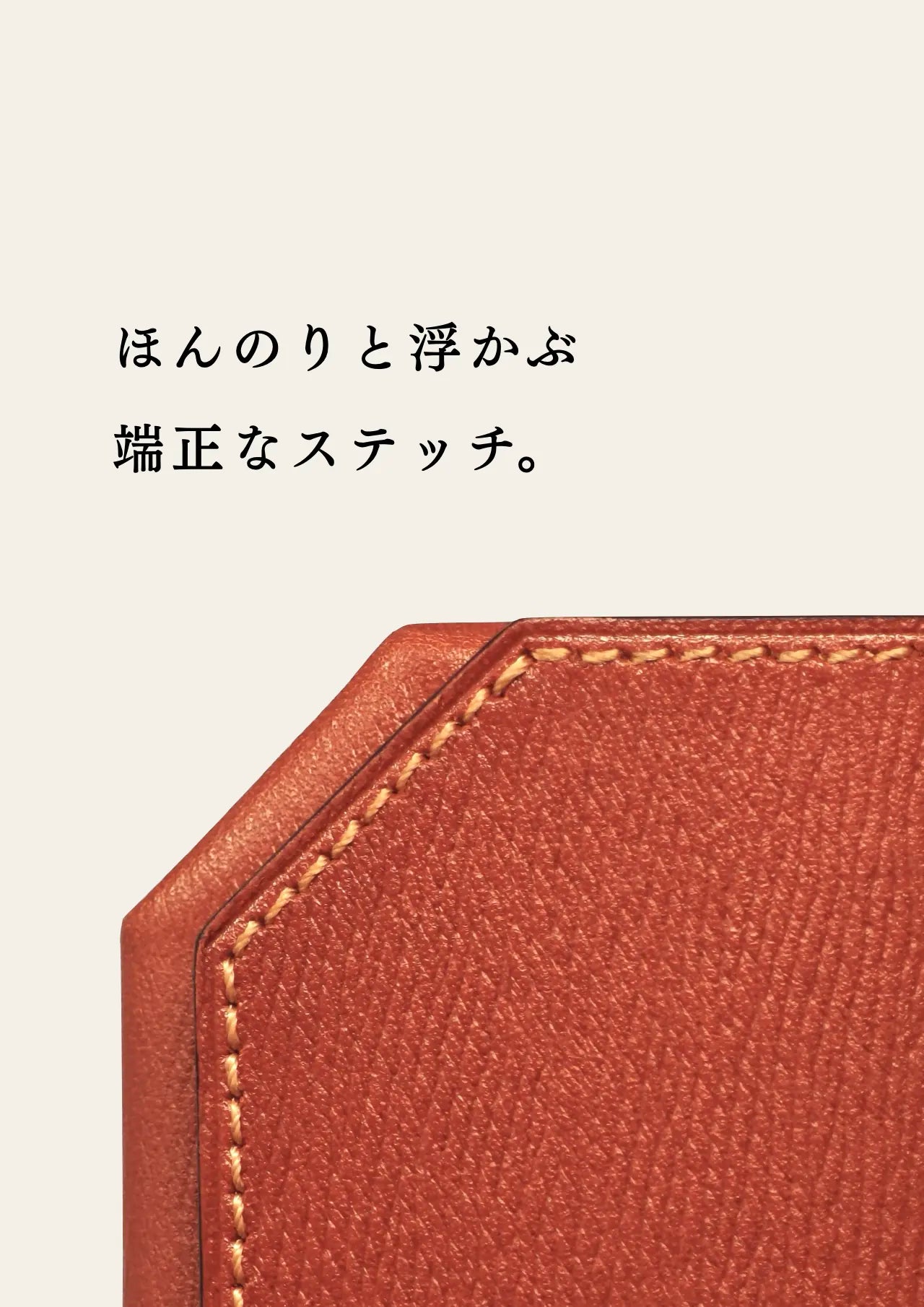 mini-cash-wallet-benigara-048